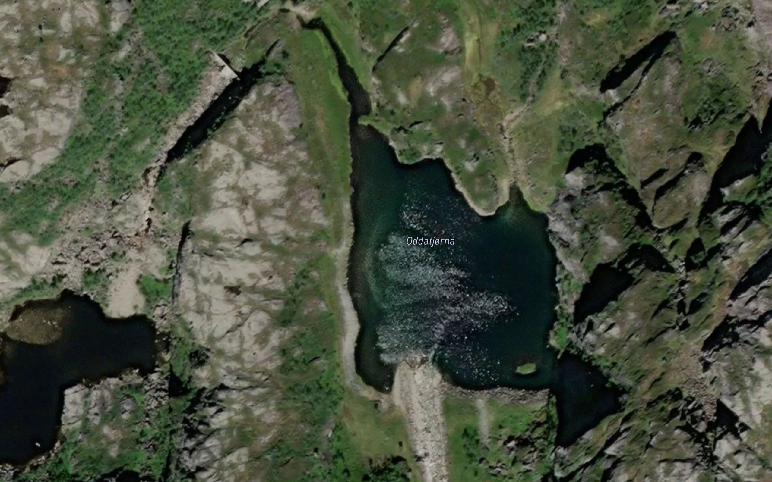 Oddatjorna