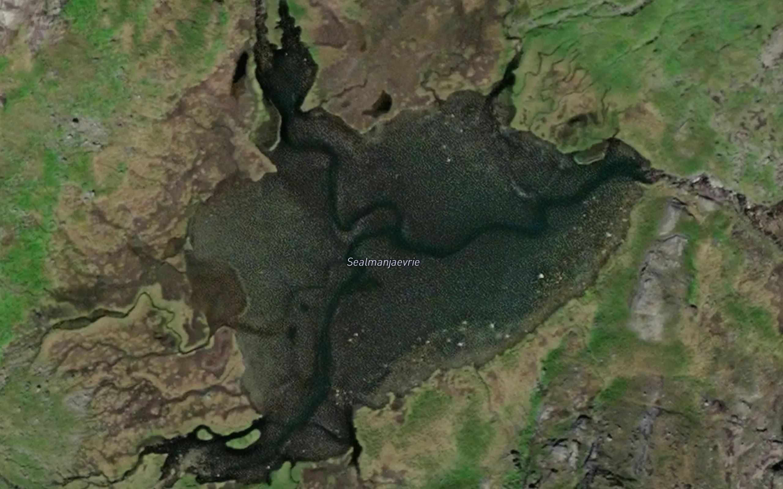 Sealmanjaevrie