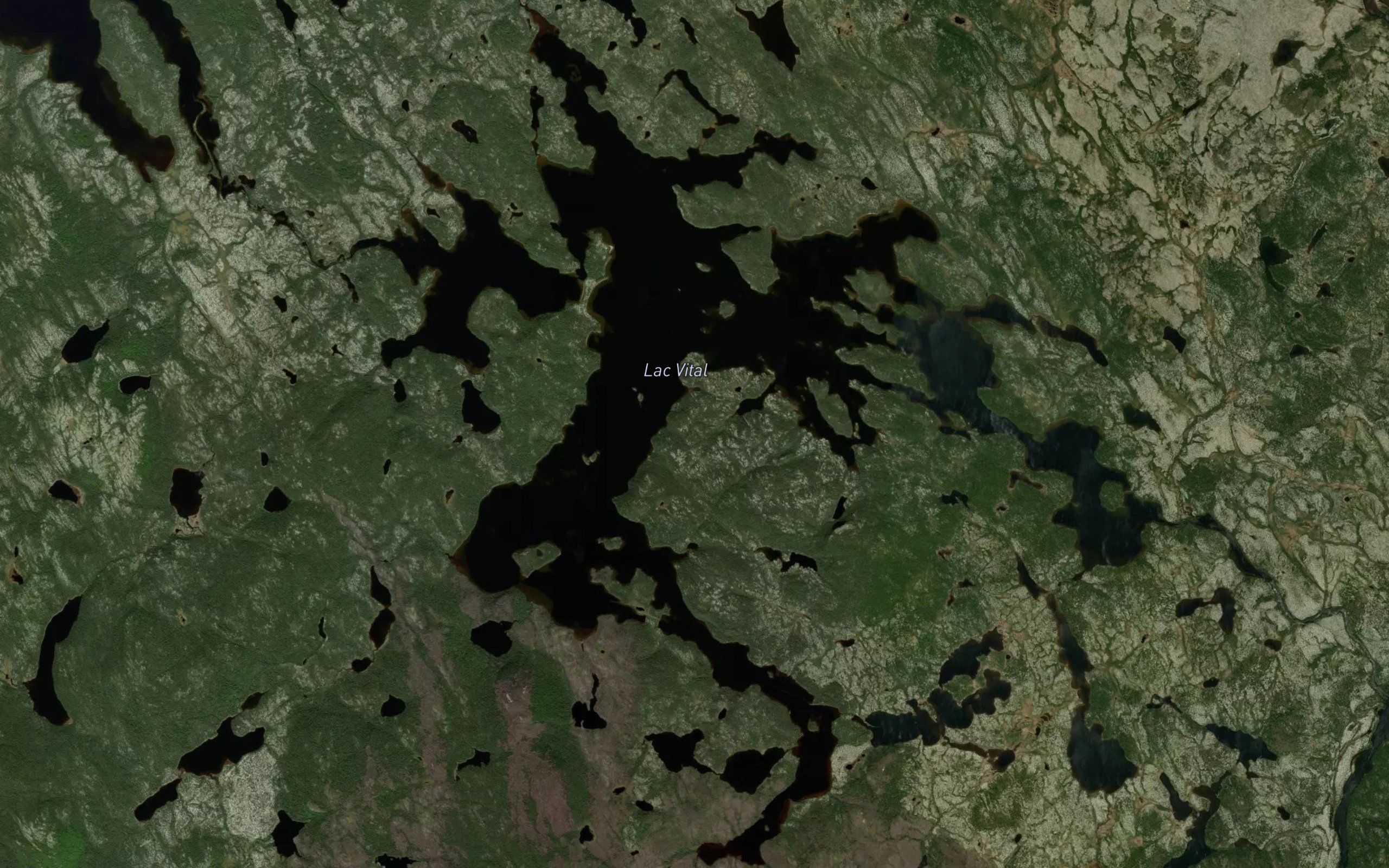 Lac Vital