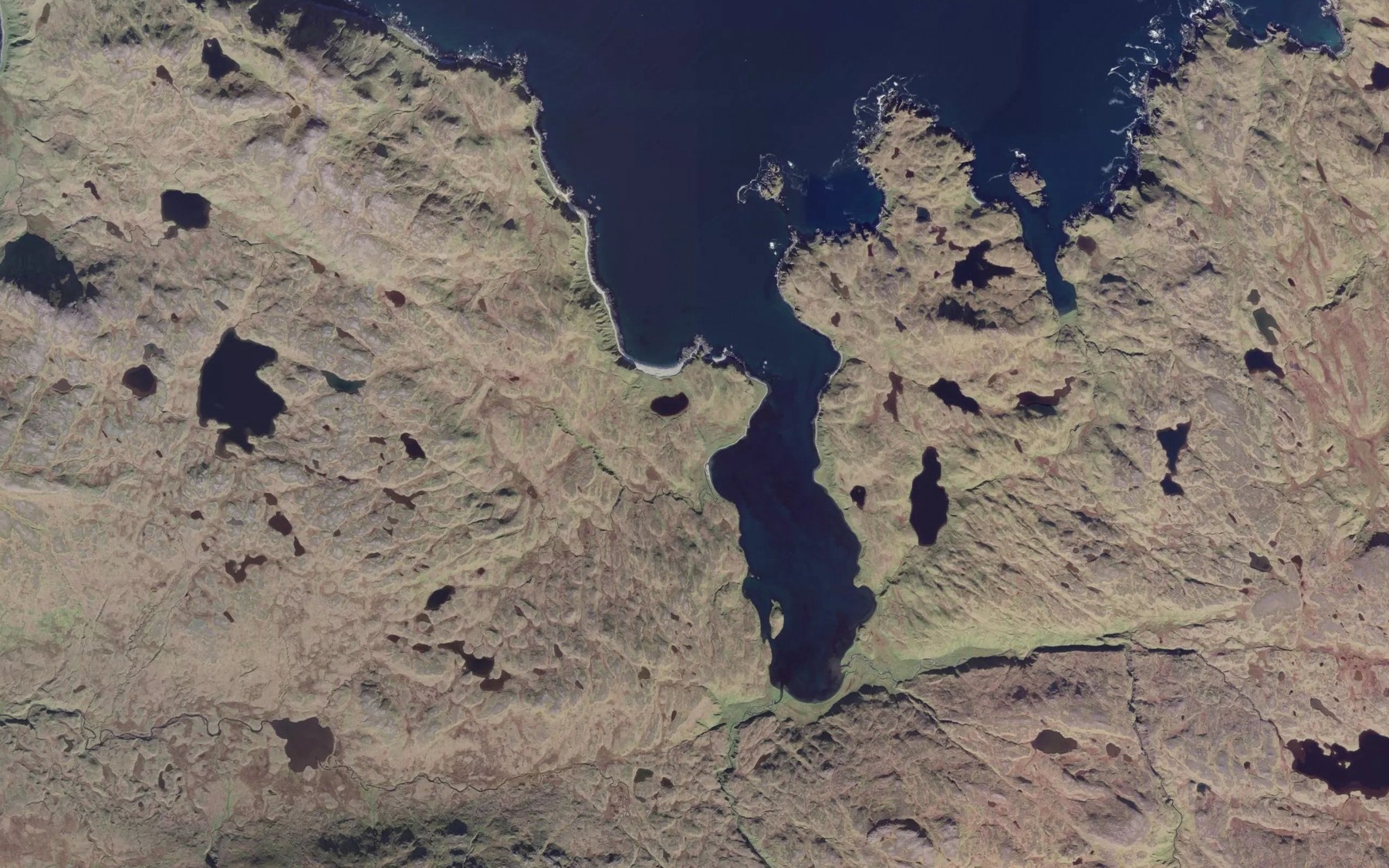 Satellite map of the Sarana Cove