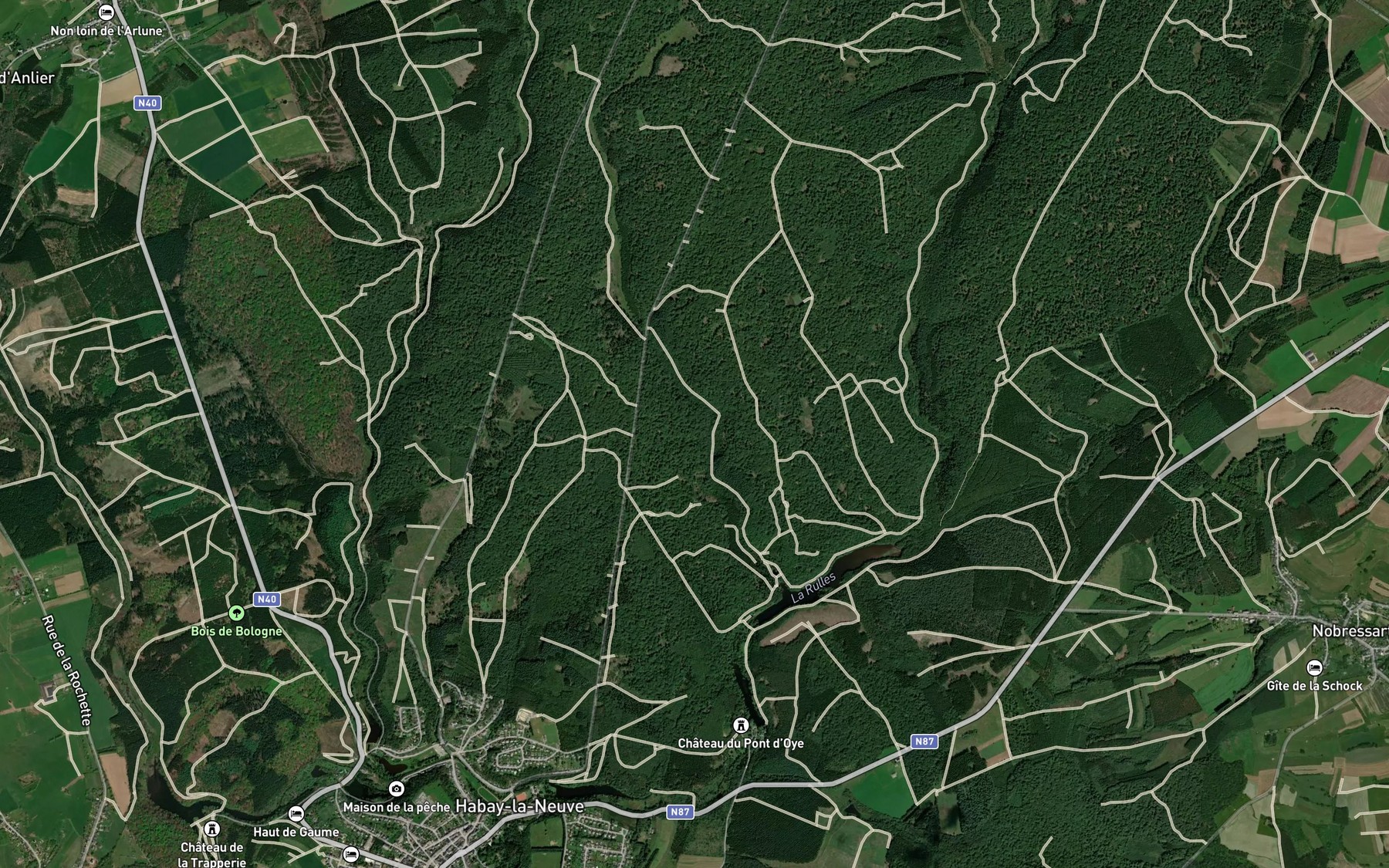 Satellite map of the Etang du Pont d'Oie