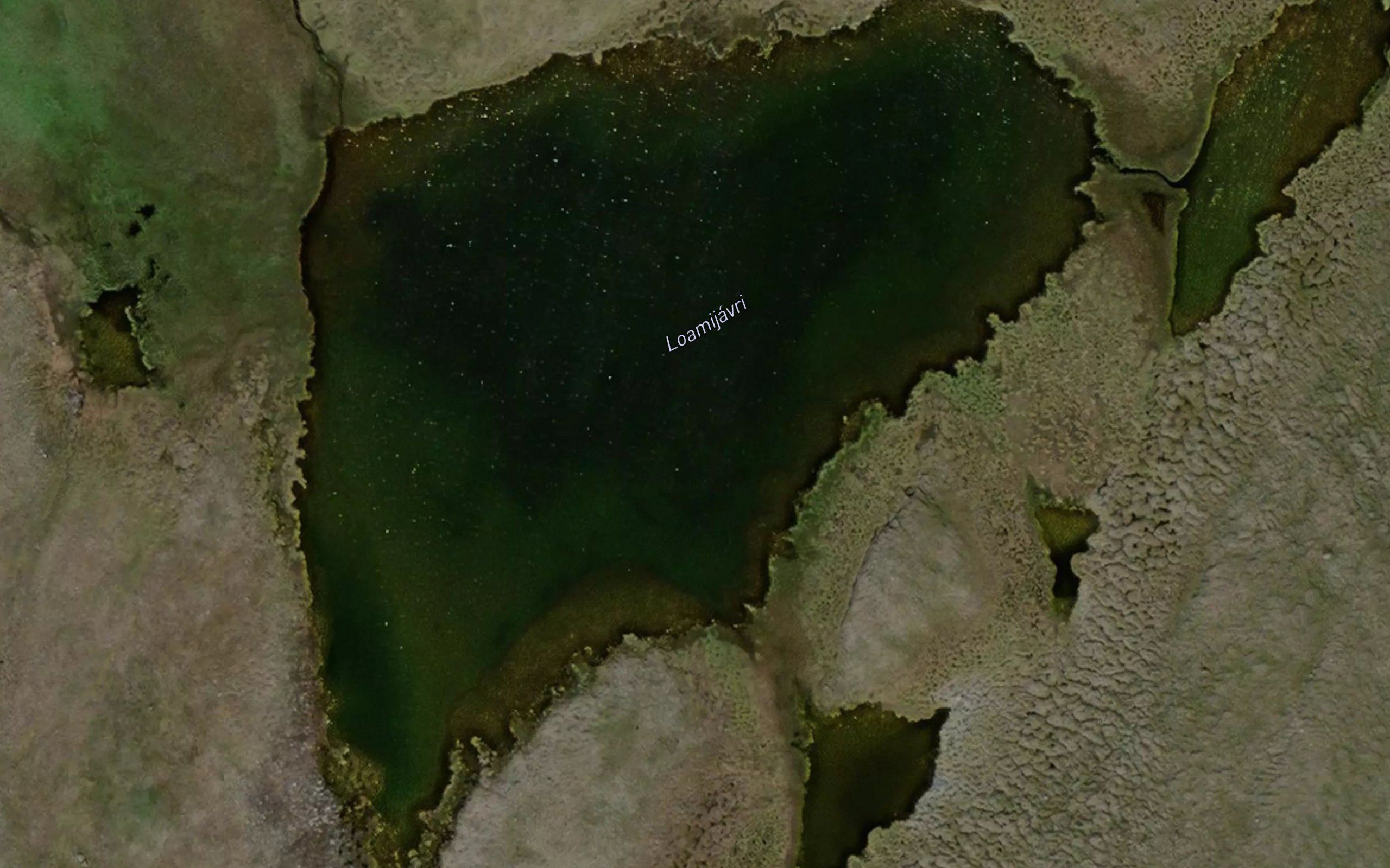 Loamijavri