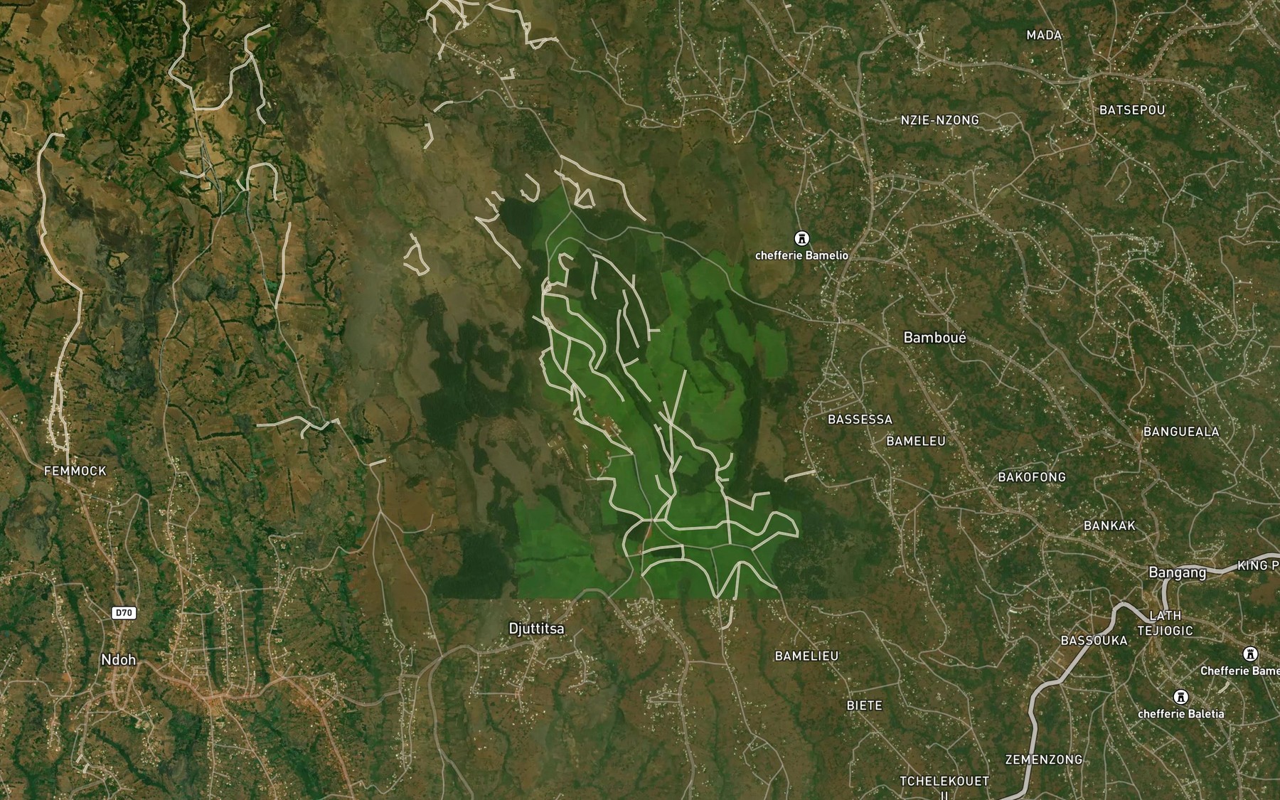Satellite map of the Bametse