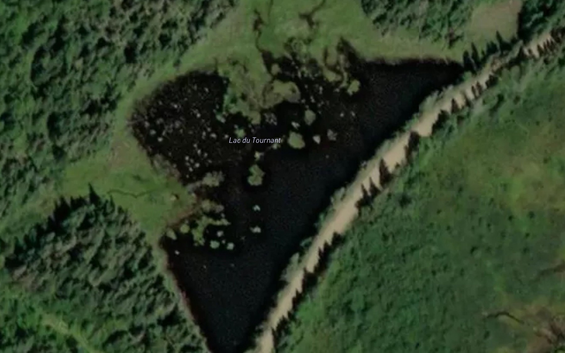 Satellite map of the Lac du Tournant