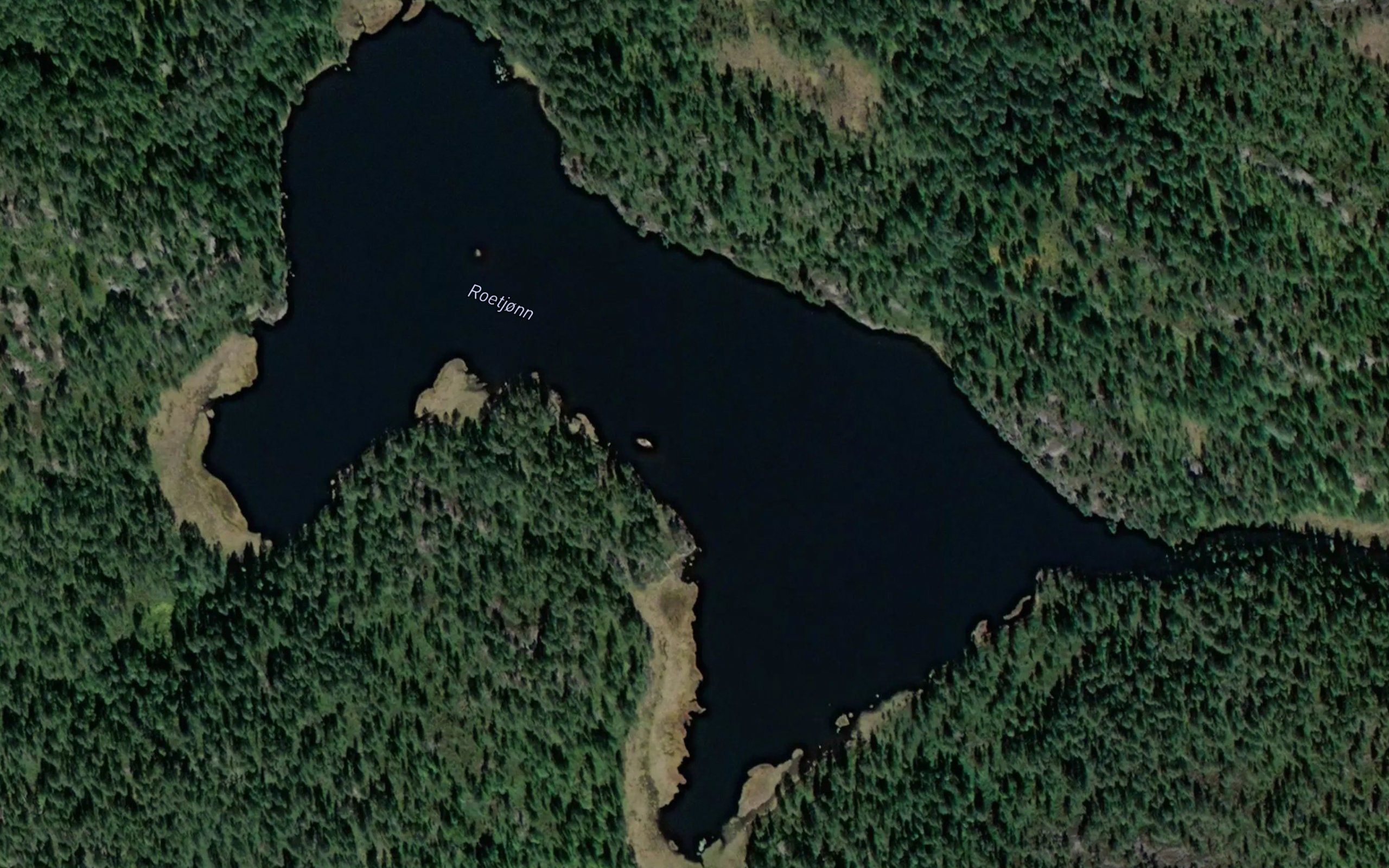 Roetjorn