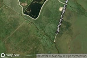Cocklebur Slough