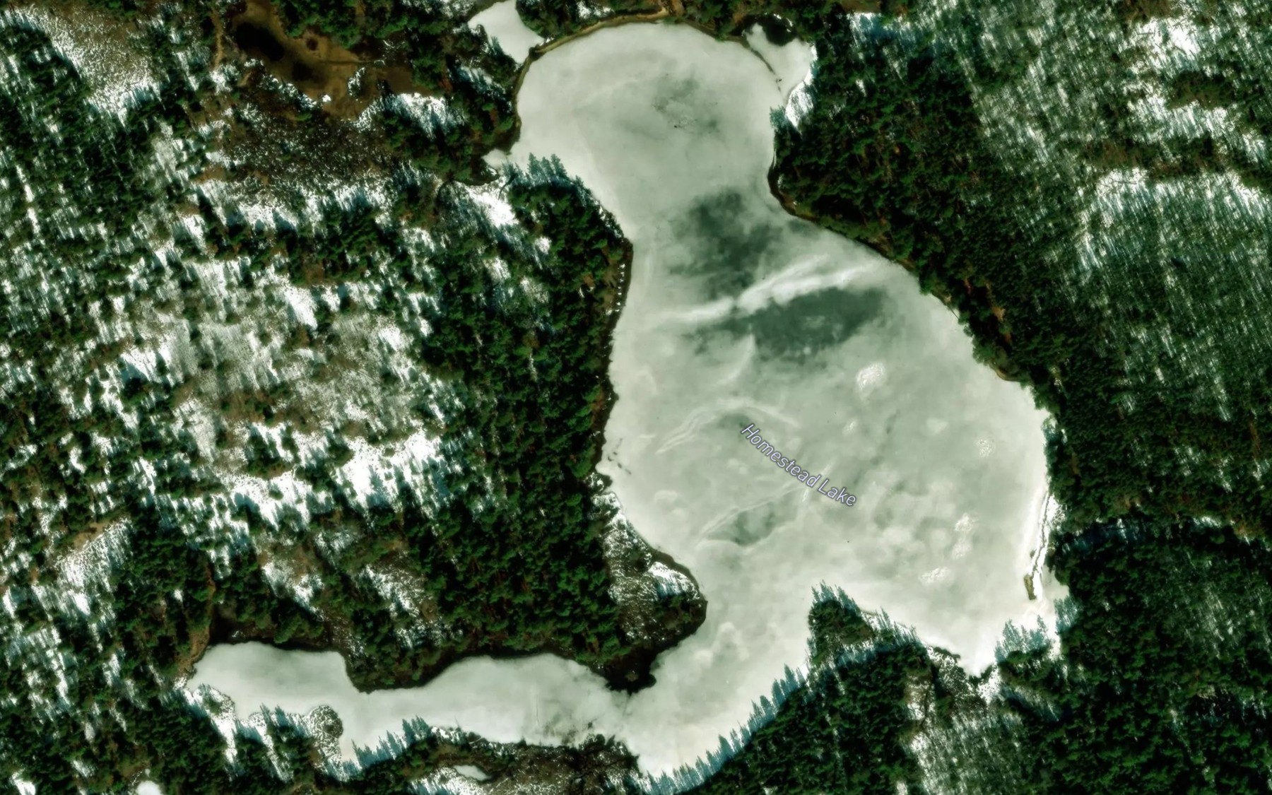 Satellite map of the Homestead Lake