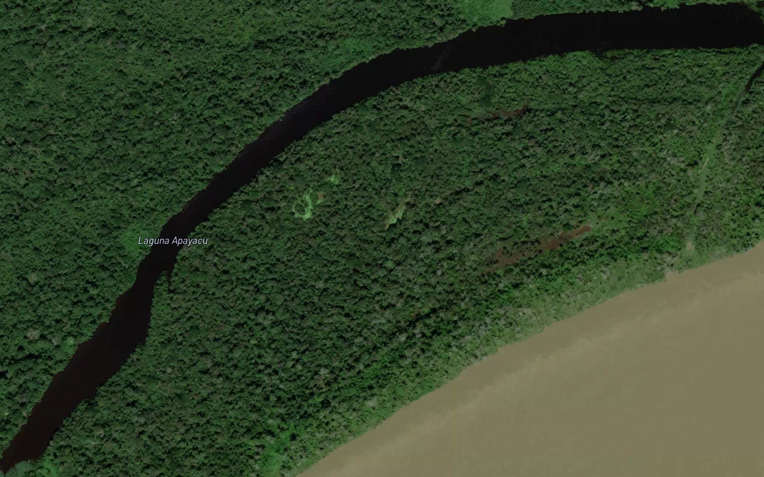 Laguna Apayacu