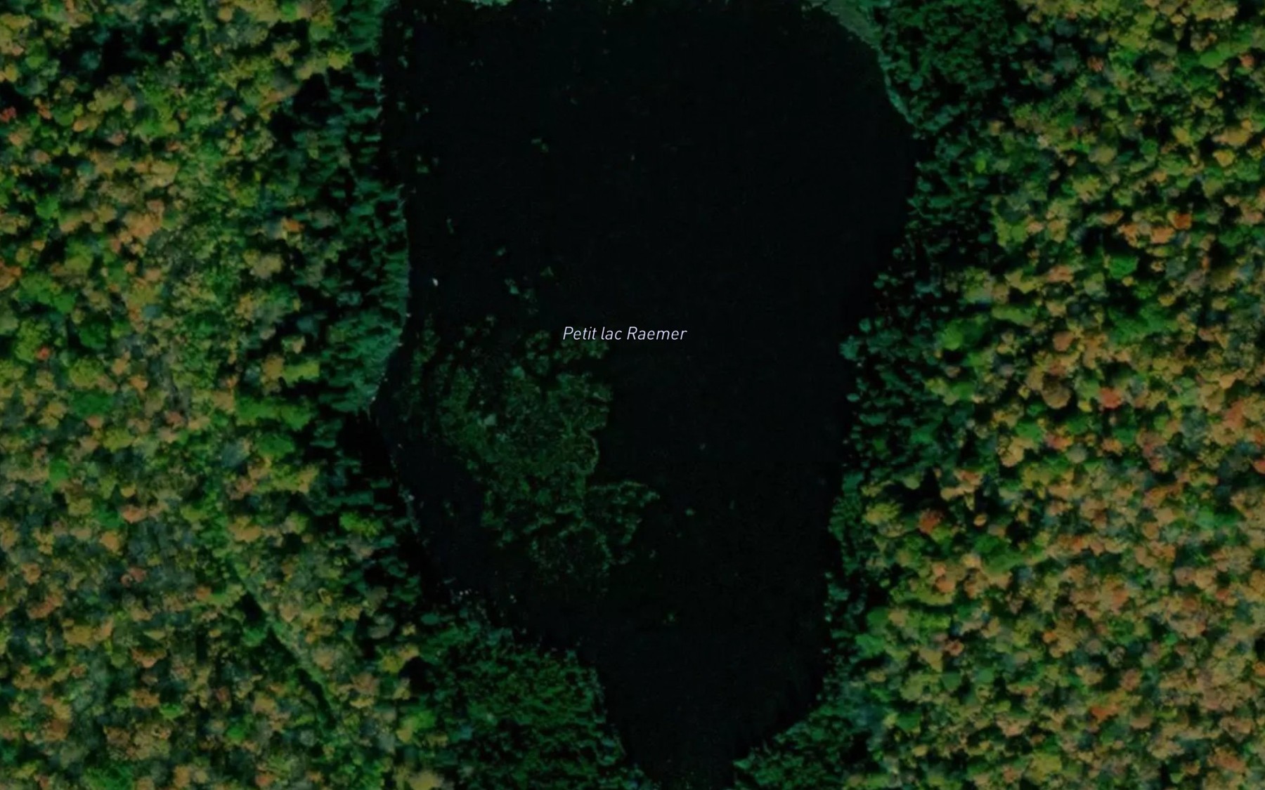 Satellite map of the Petit lac Raemer