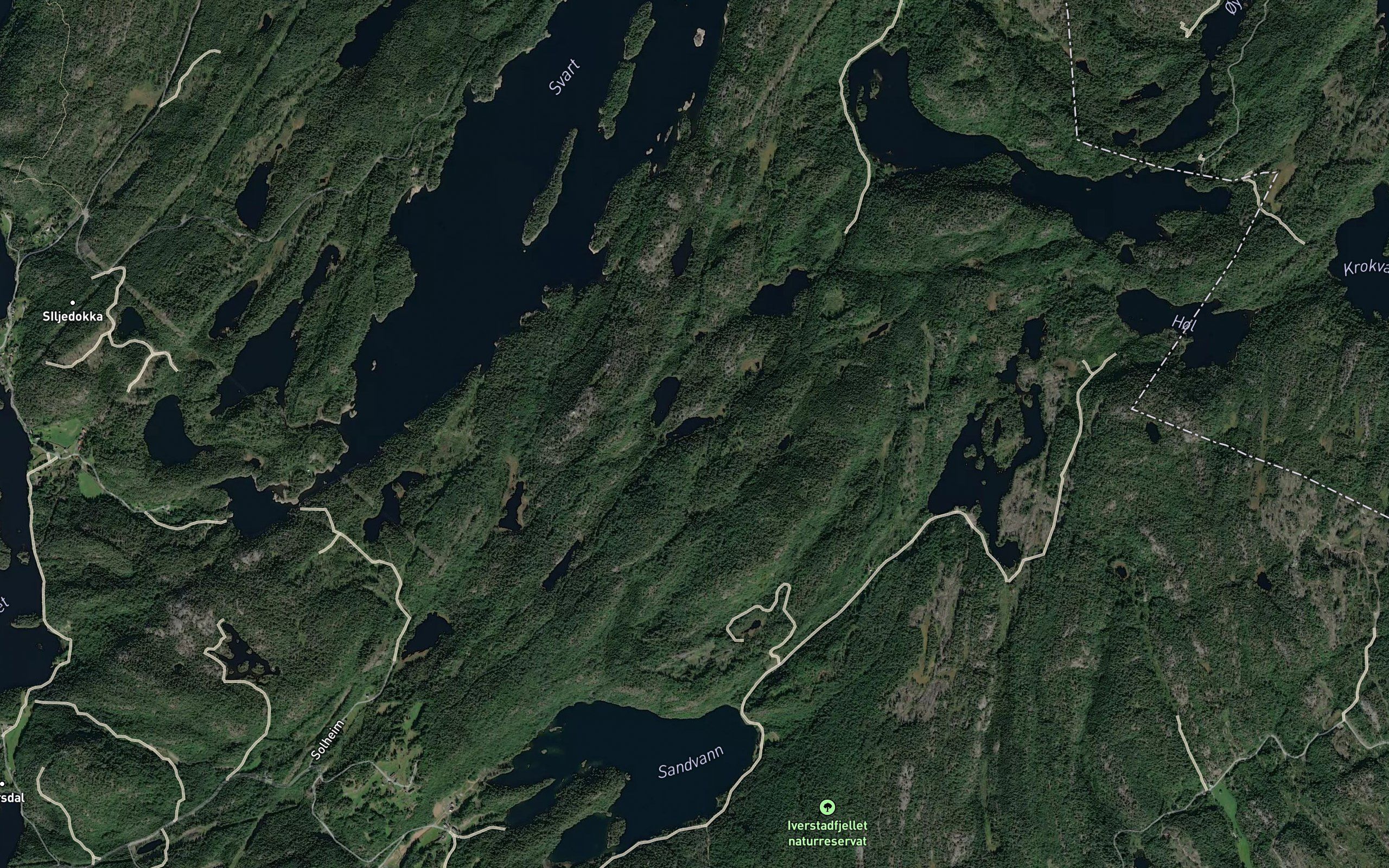Limdalstjerna