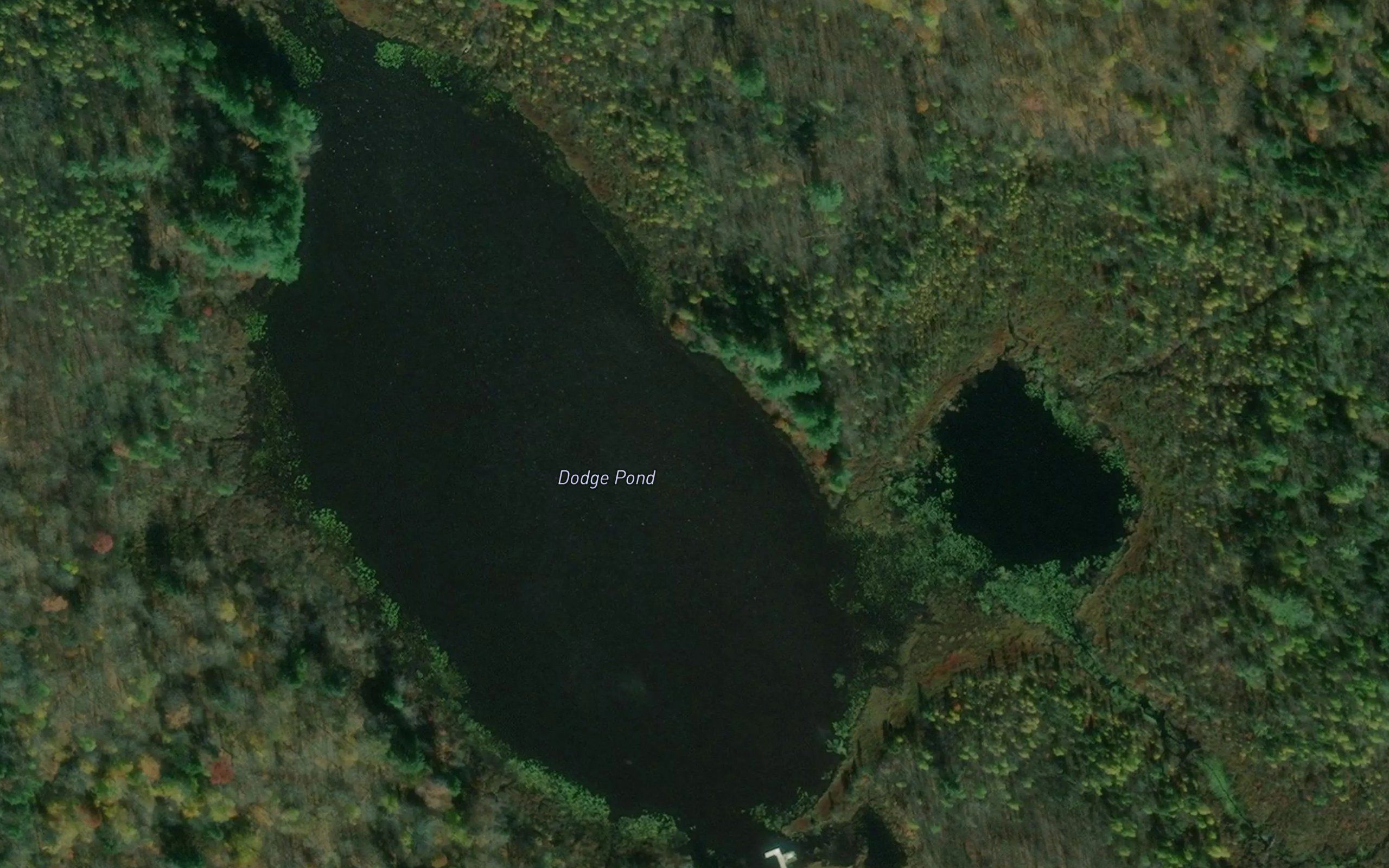 Dodge Pond