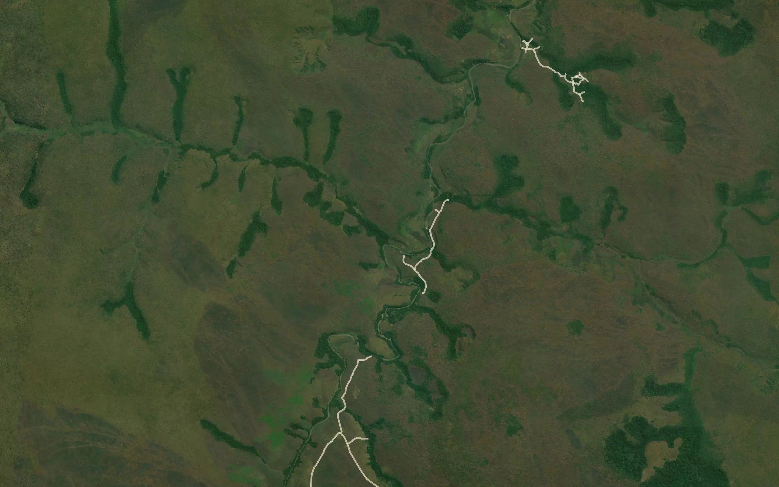 Kasakala
