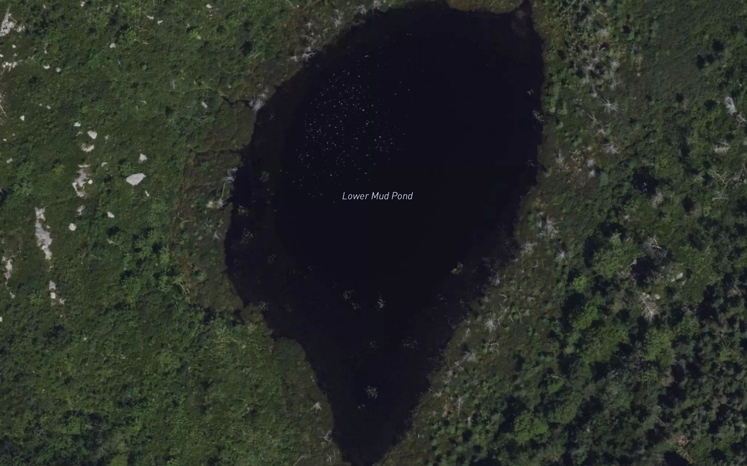 Lower Mud Pond