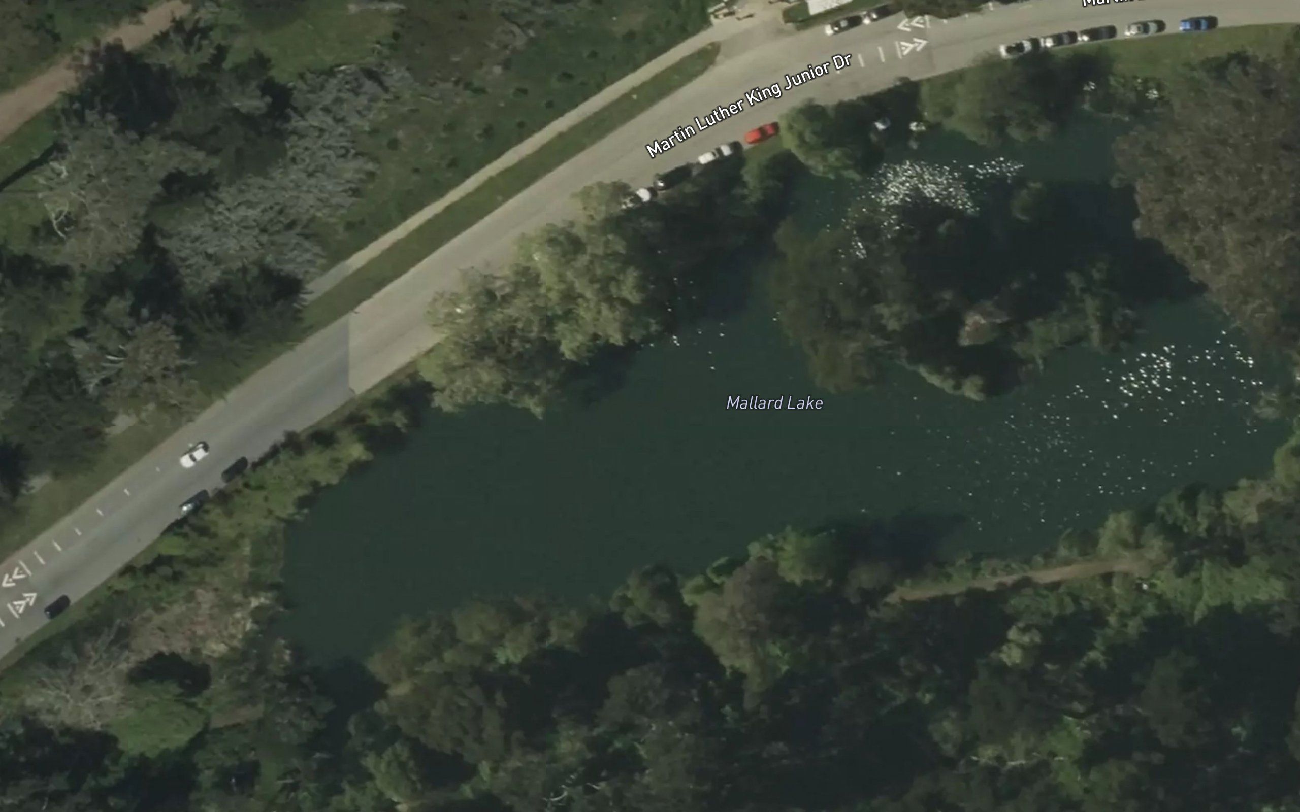 Mallard Lake