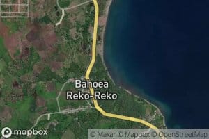 Baho Mooluna