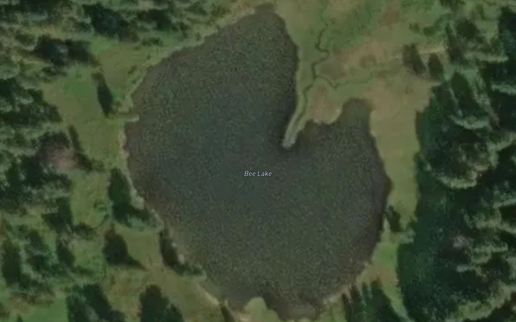 Satellite map of the Bee Lake