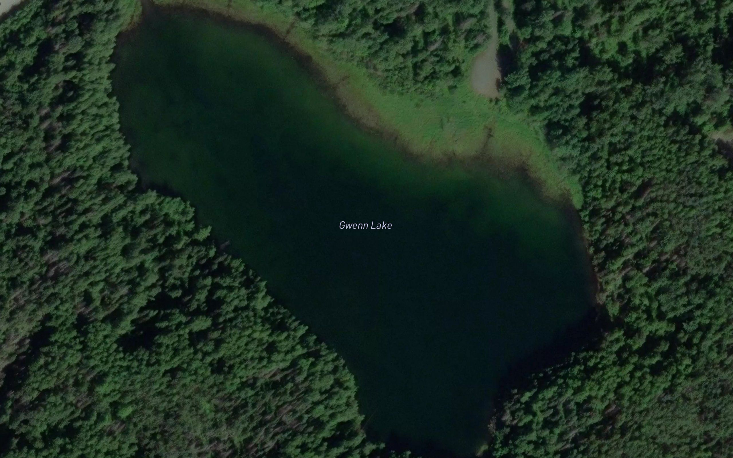 Gwenn Lake