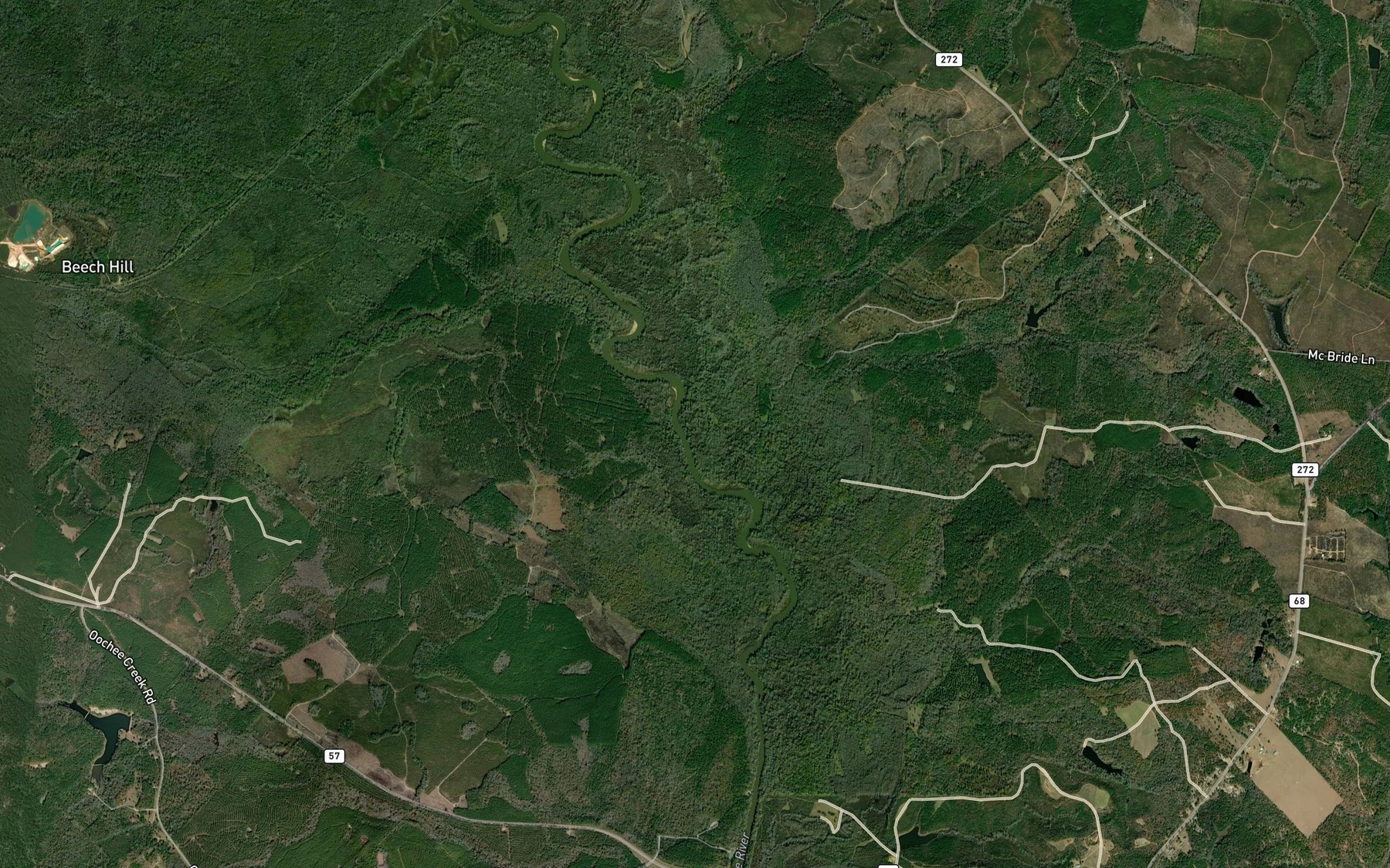 Satellite map of the Bay Branch
