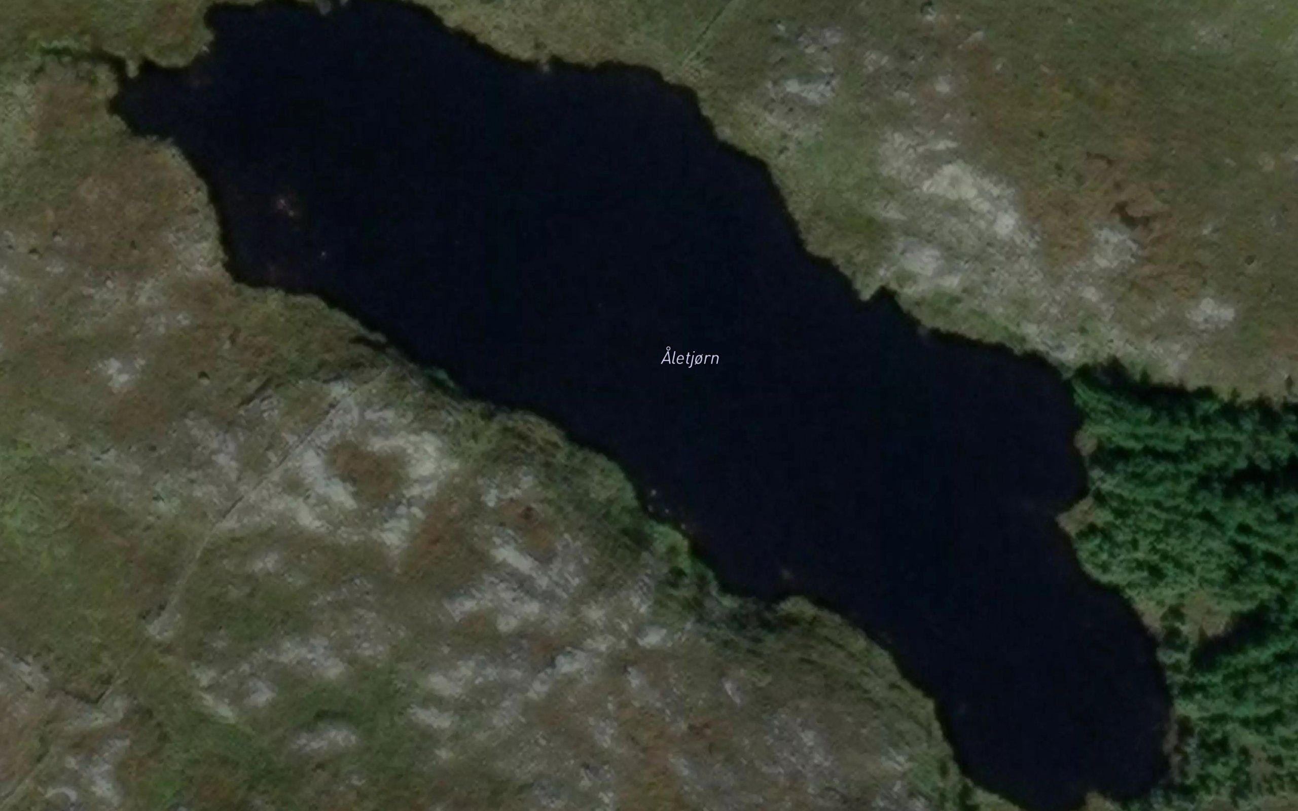 Aletjorn