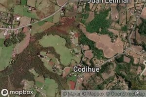 Estero Cunco