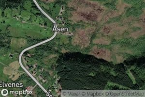 Aselva