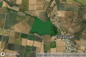 El Tecuan