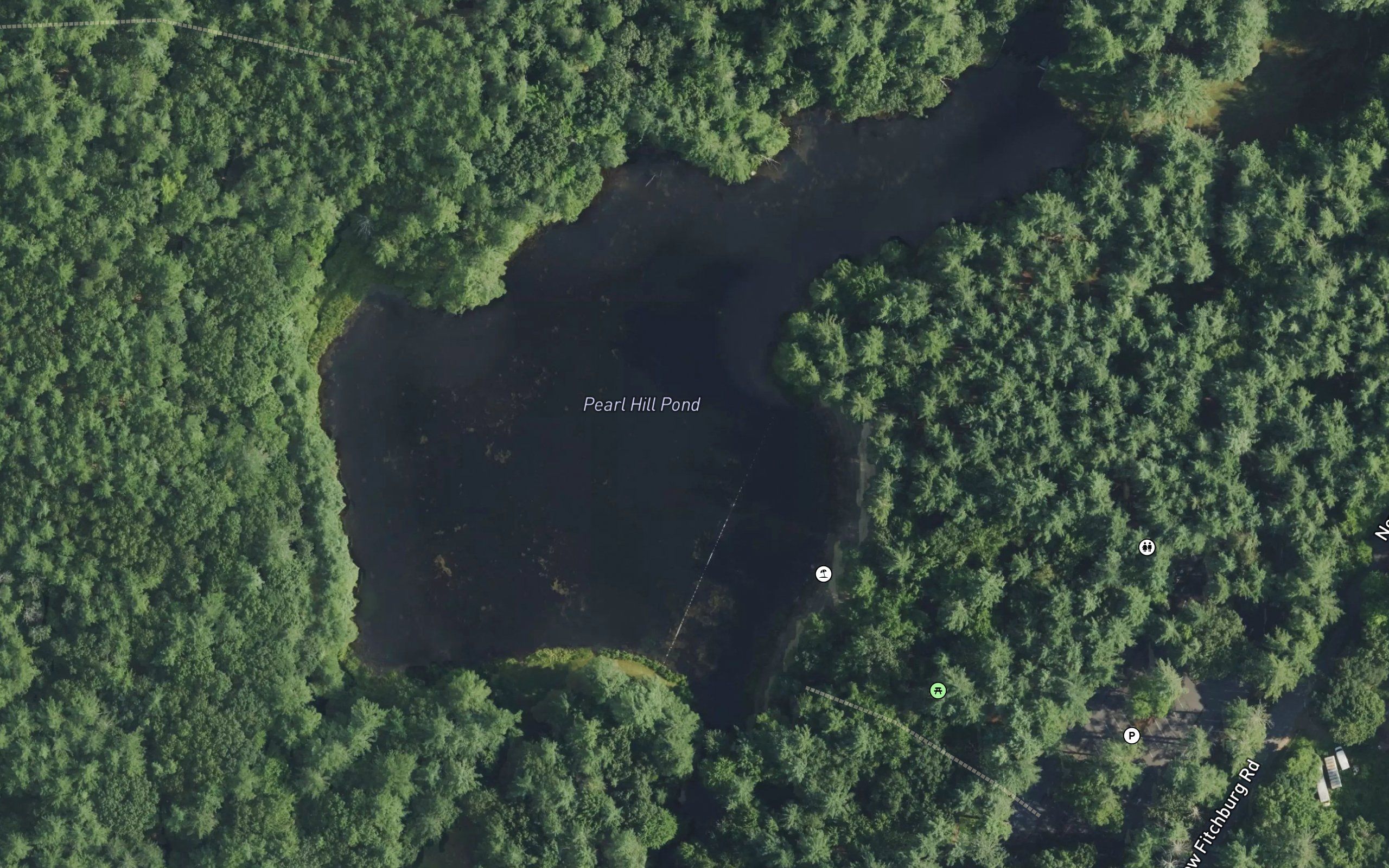 Pearl Hill Brook Pond