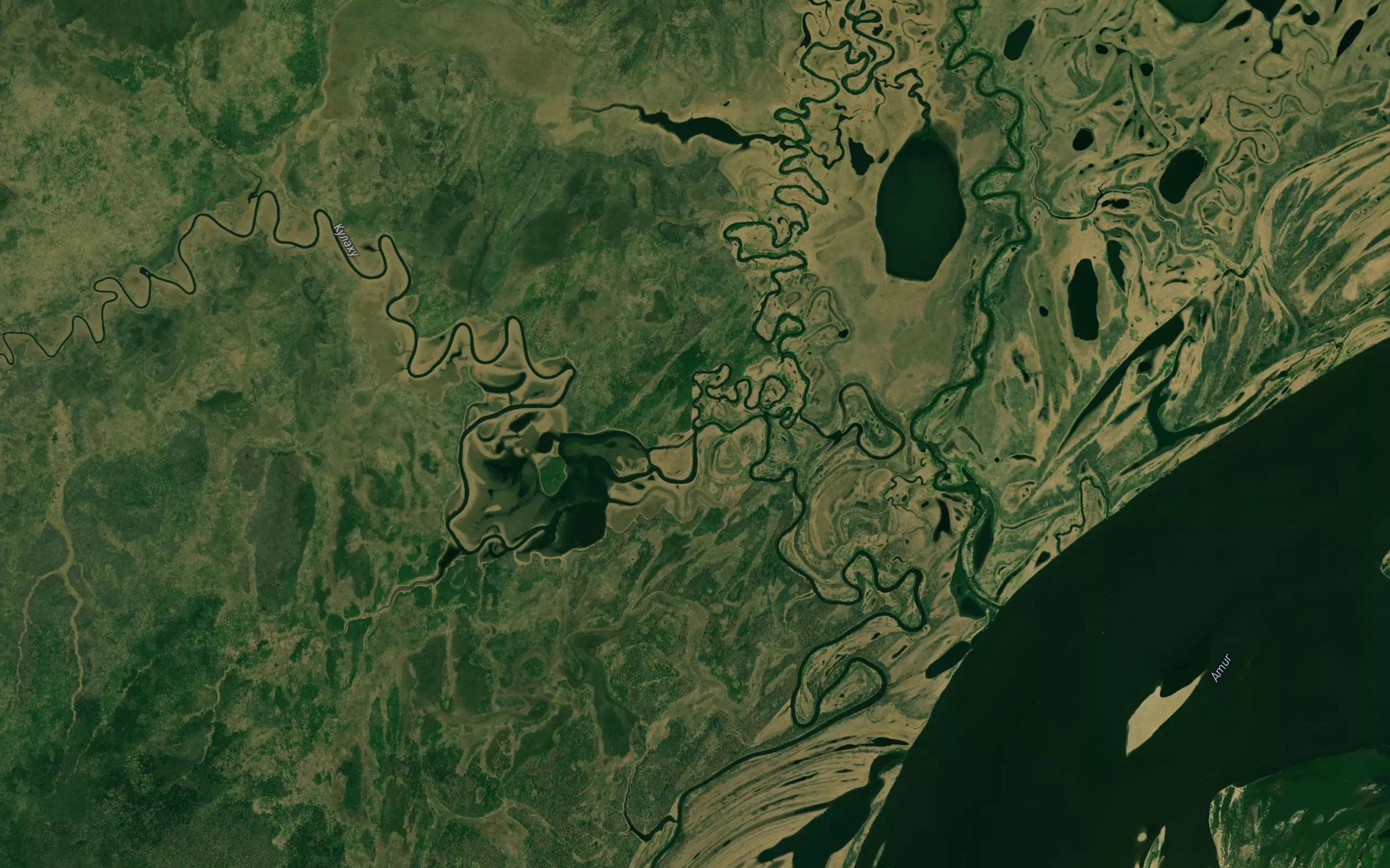 Kulakhu