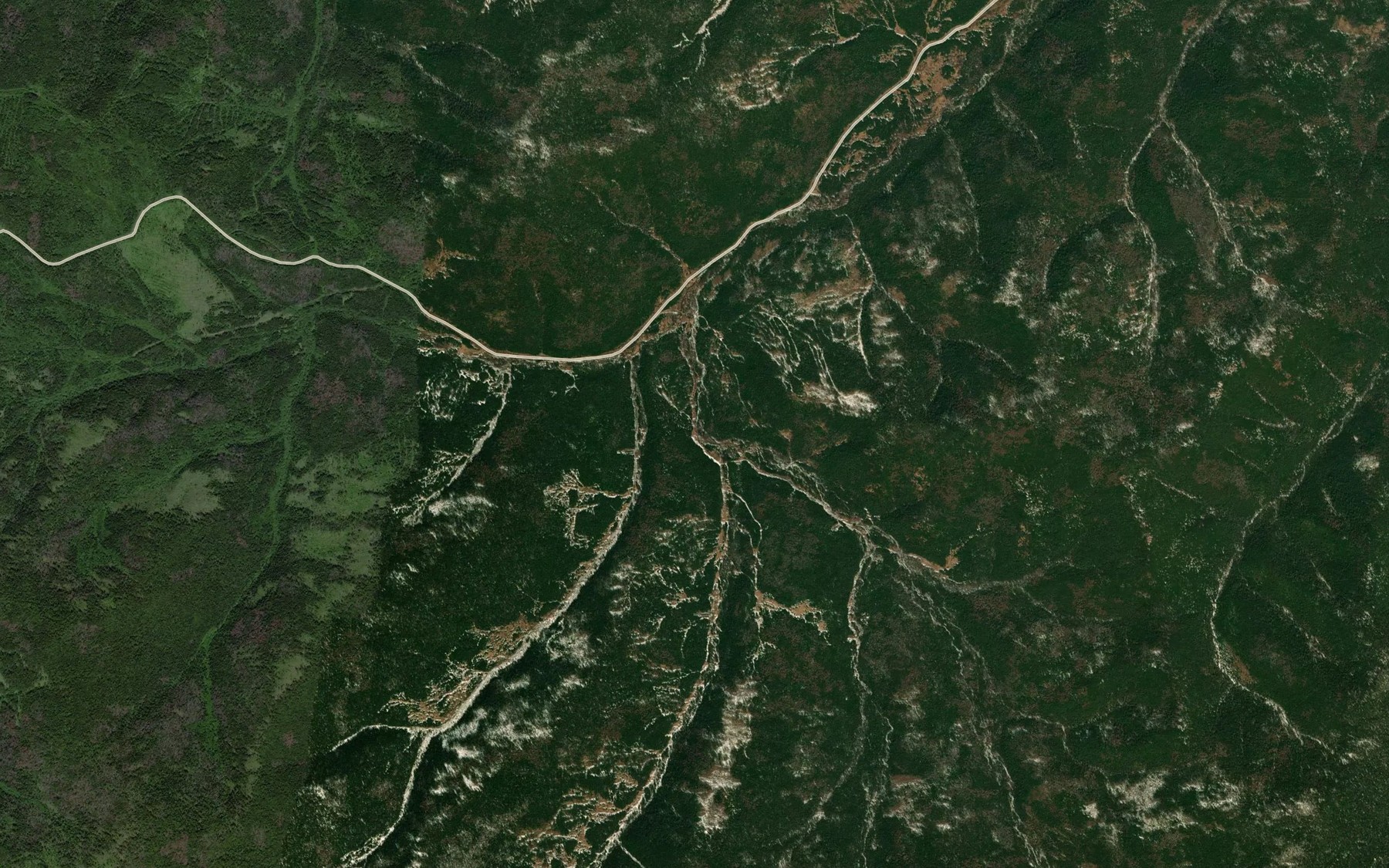 Satellite map of the Pisannyy