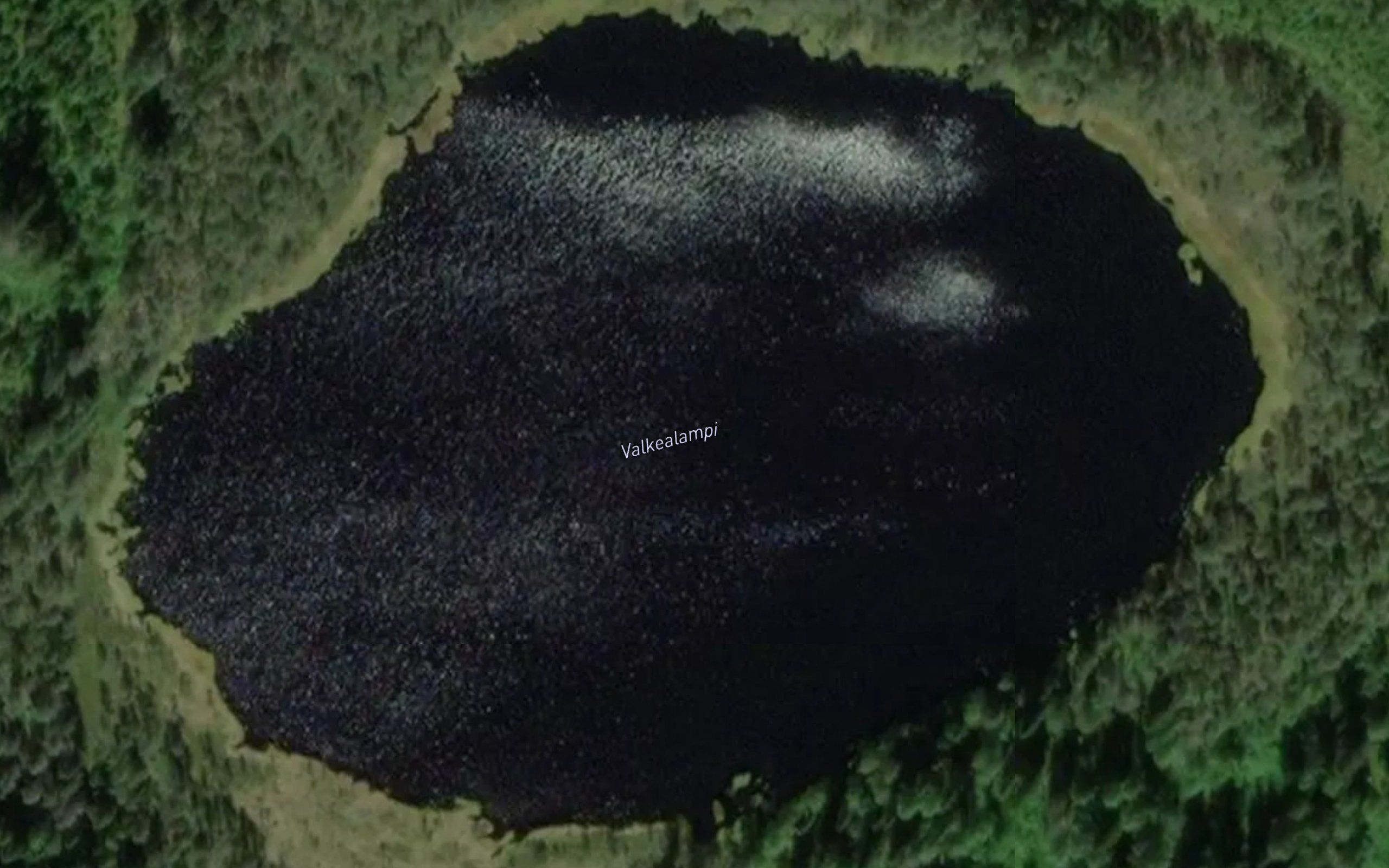 Valkealampi
