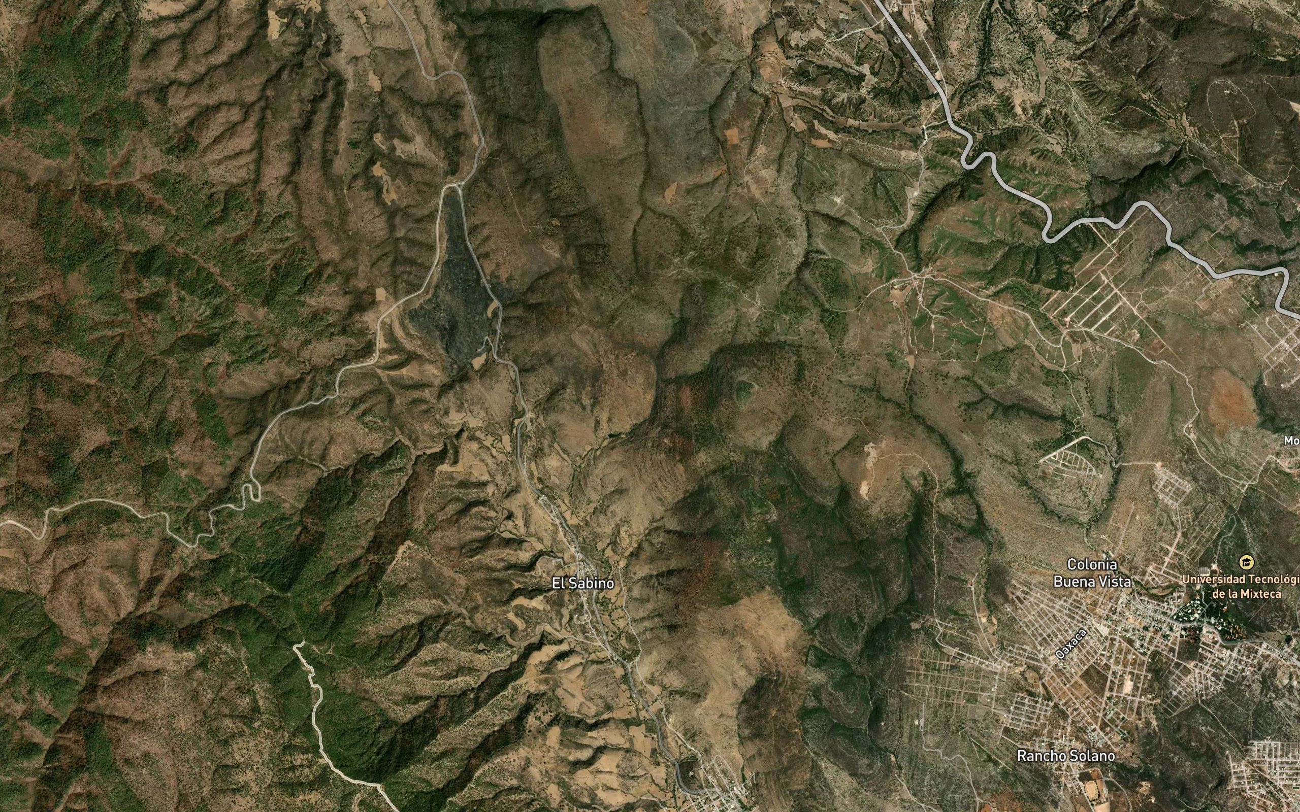 Barranca El Otate