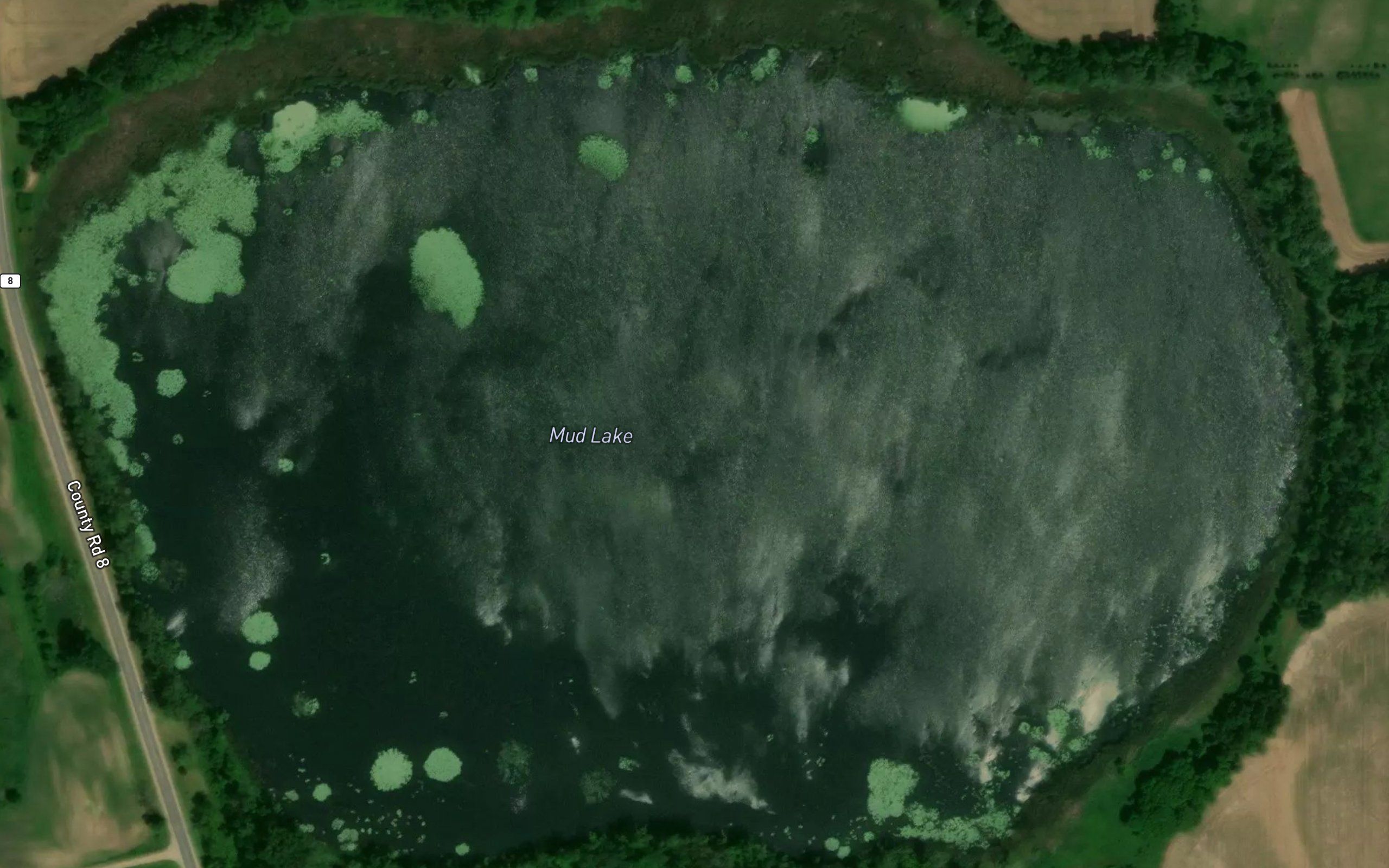 Mud Lake