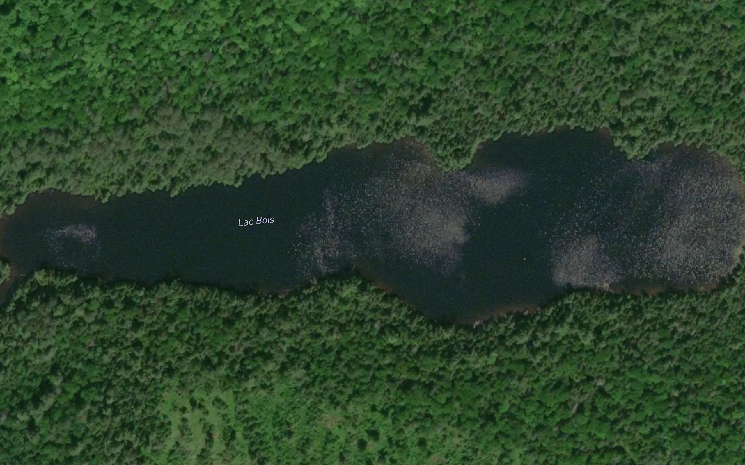 Lac Bois