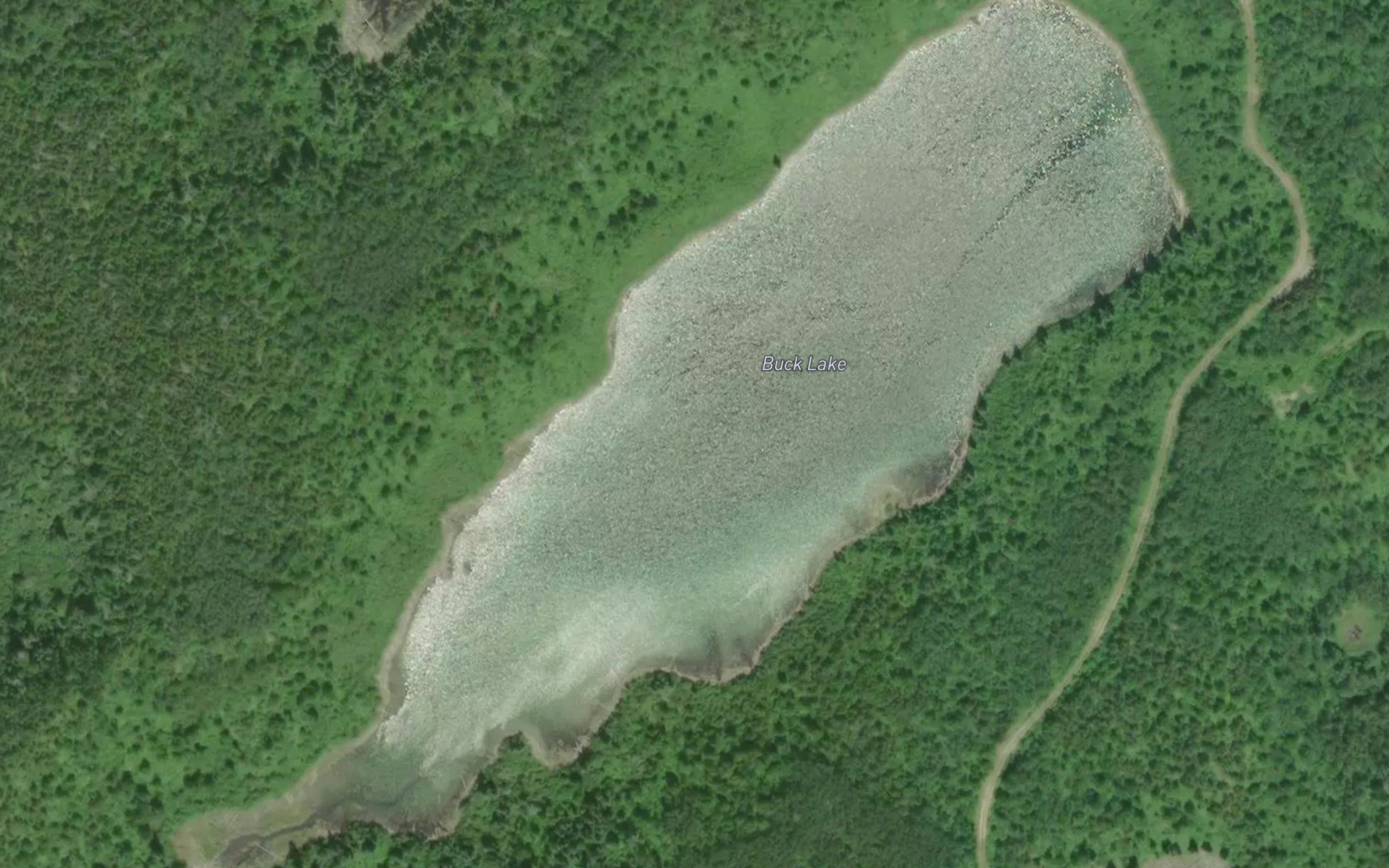Buck Lake
