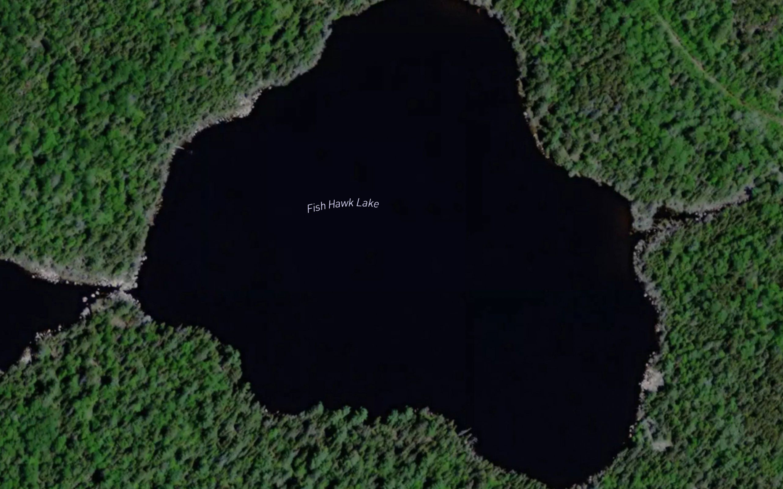 Fish Hawk Lake
