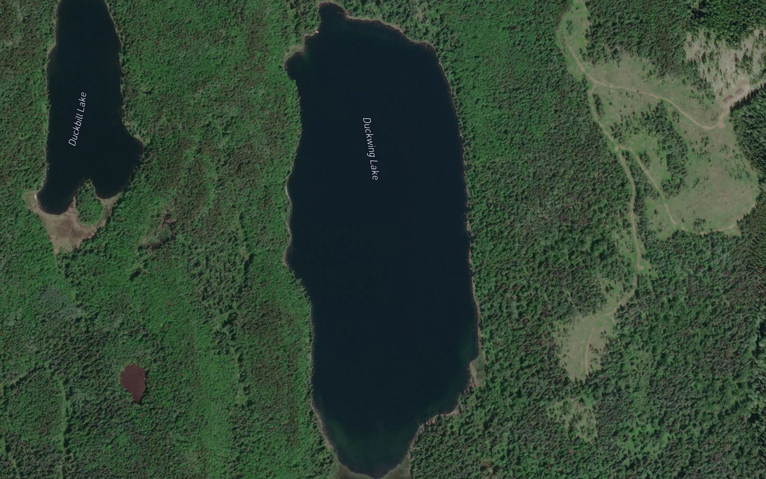 Duckwing Lake