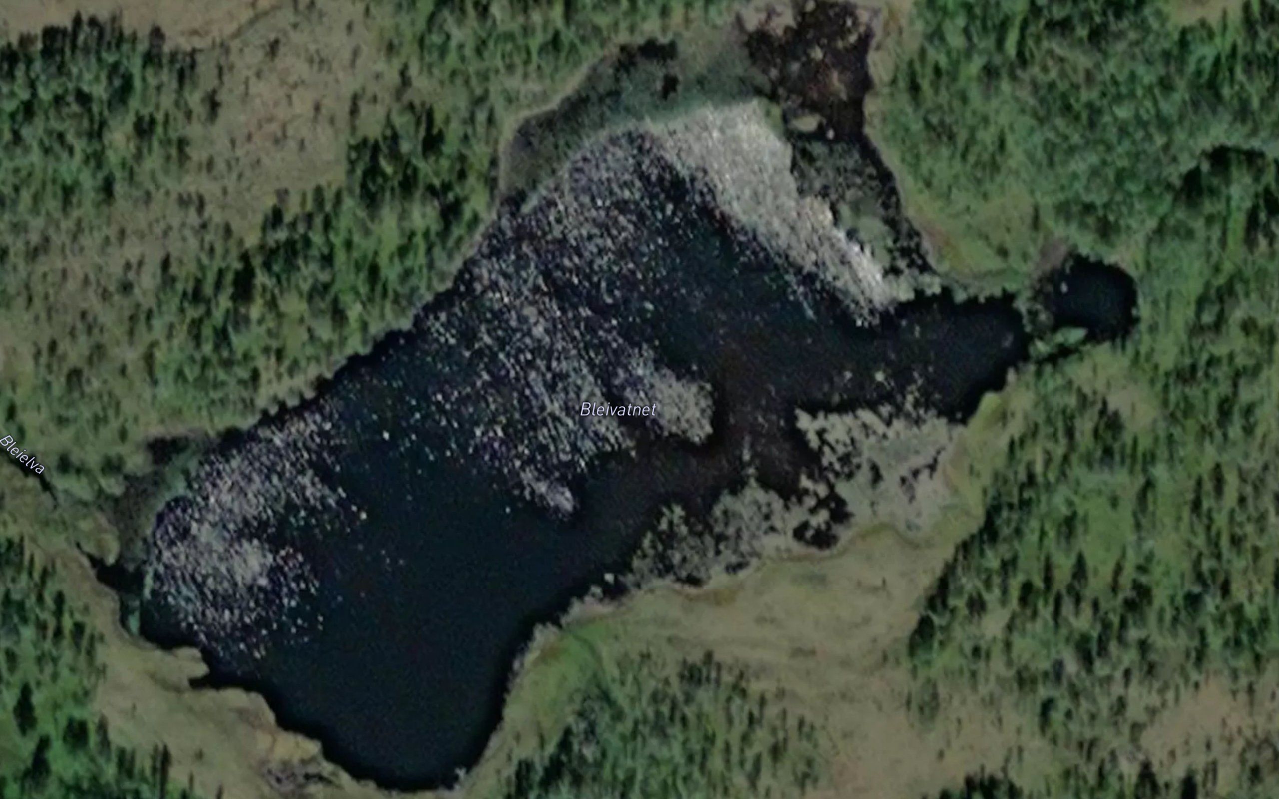 Bleivatnet