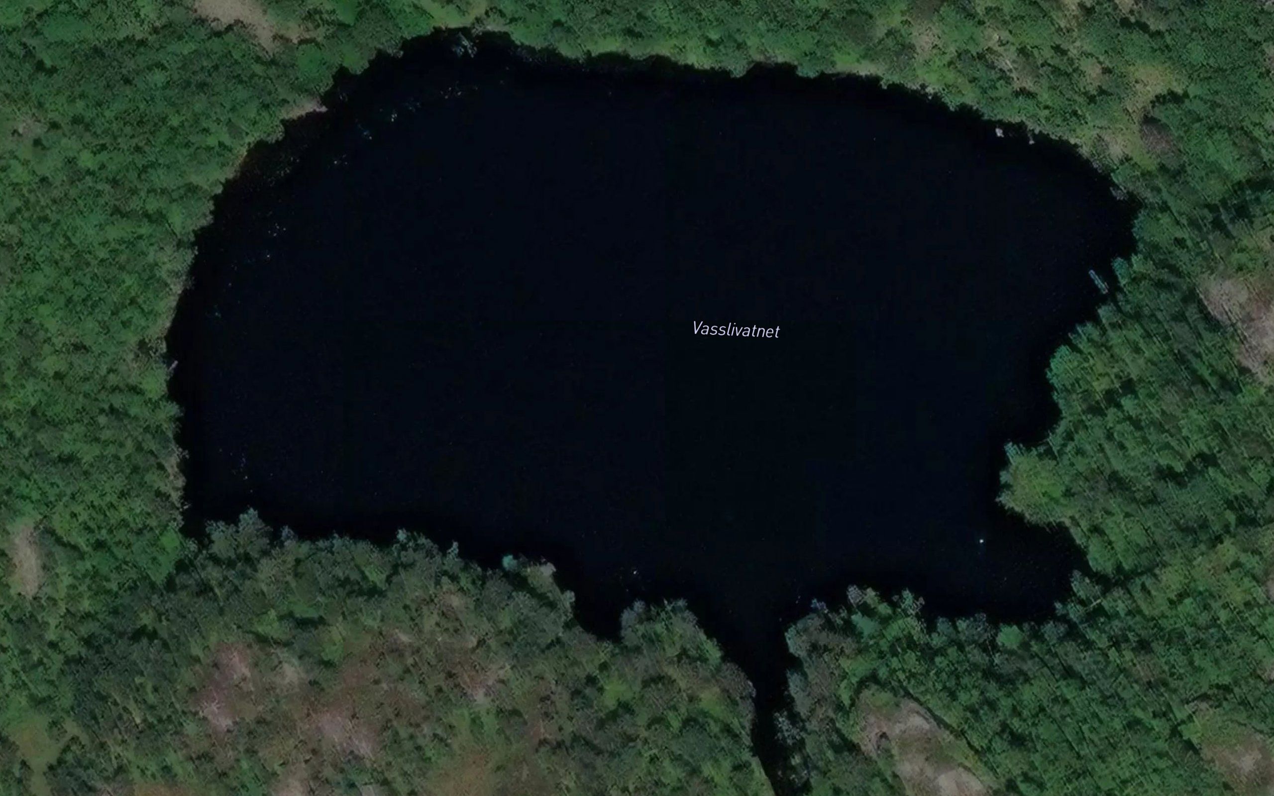 Vasslivatnet