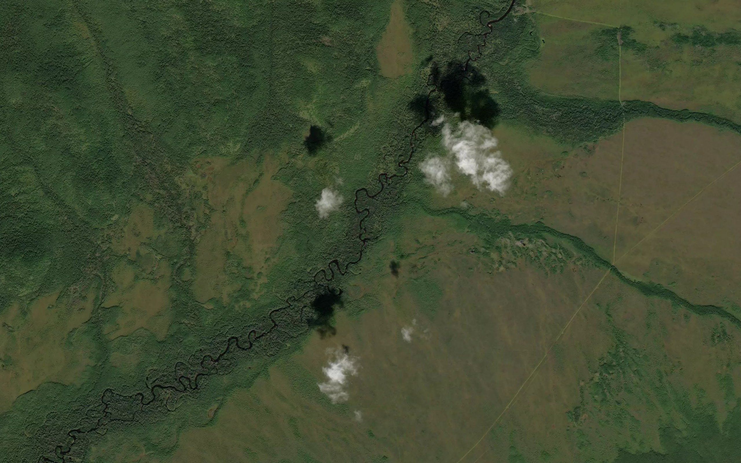 Nizhnyaya Ol'goka