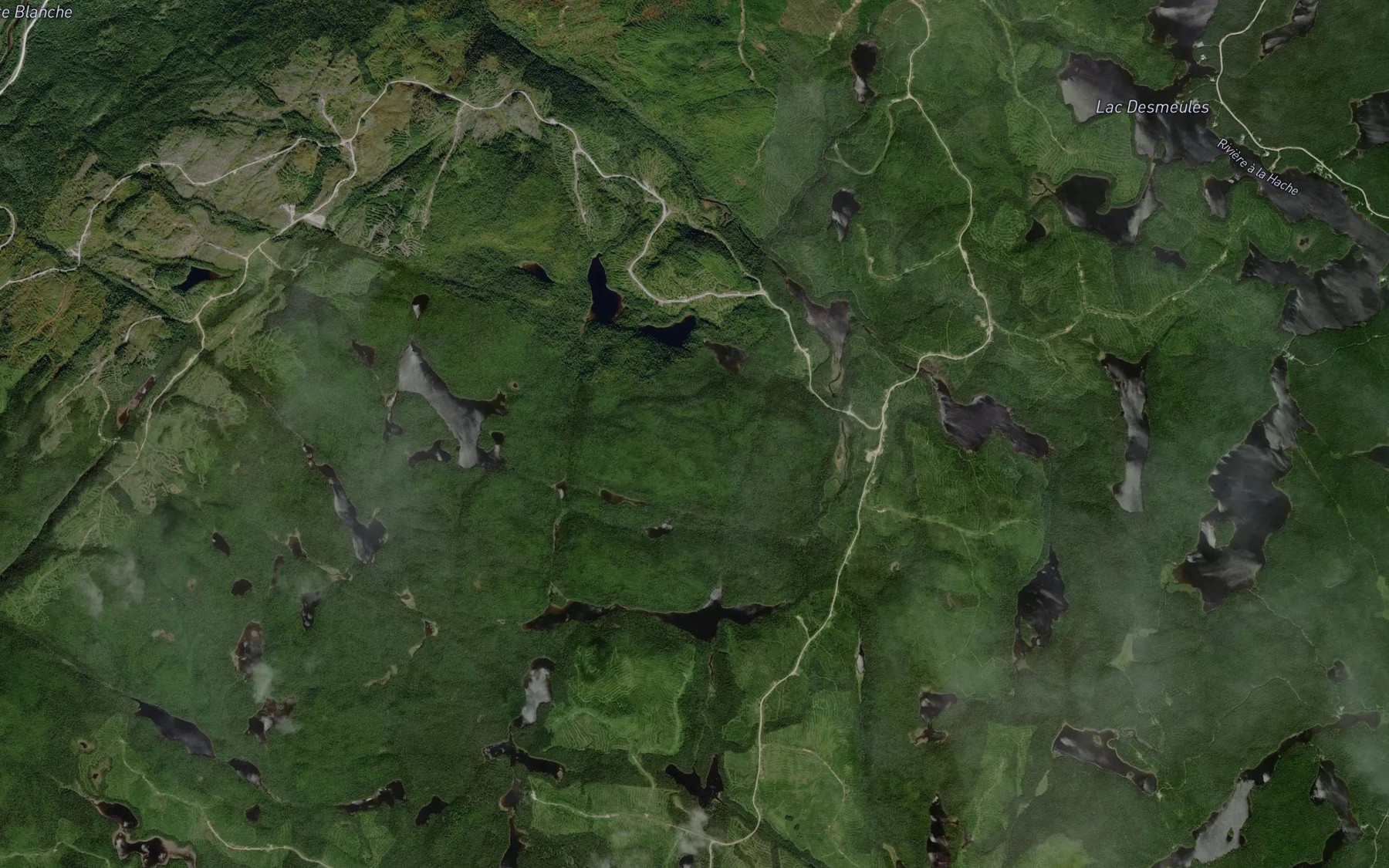 Satellite map of the Etang Guy