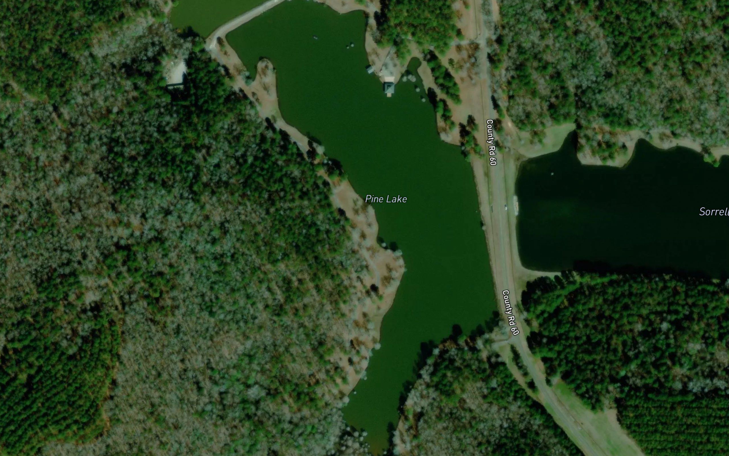 Pine Lake