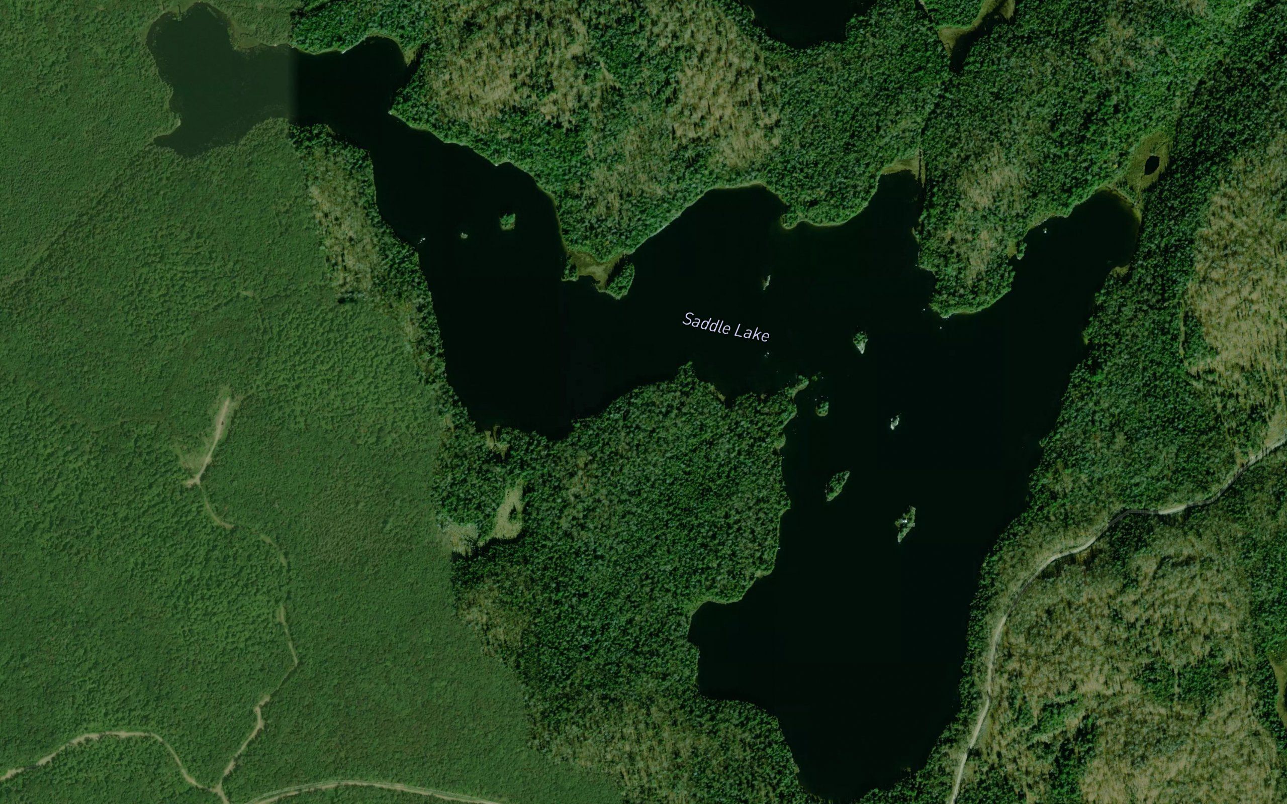 Saddle Lake