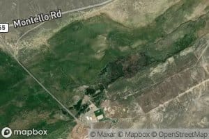 Wine Cup Ranch Spring