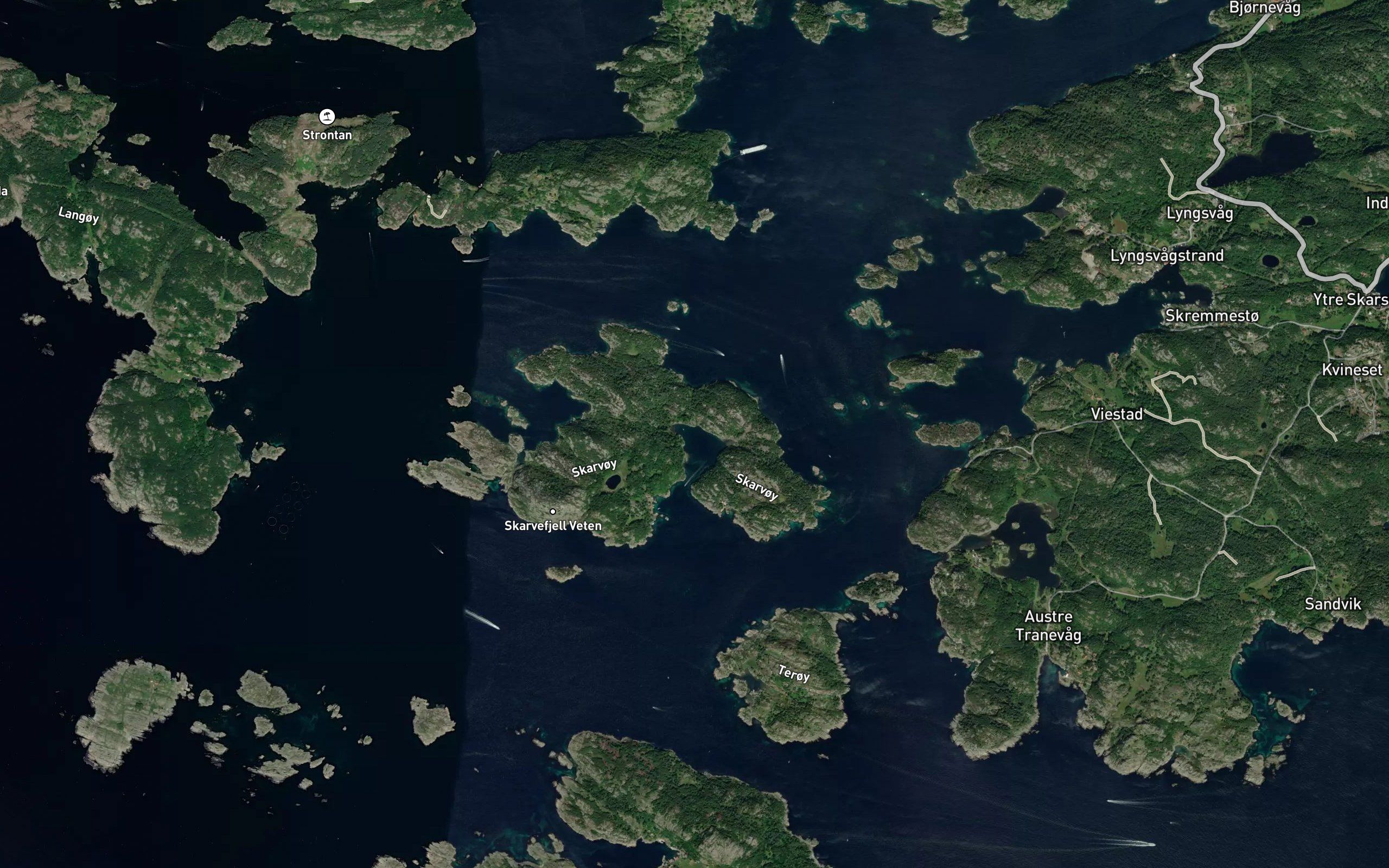 Skarvoyvika