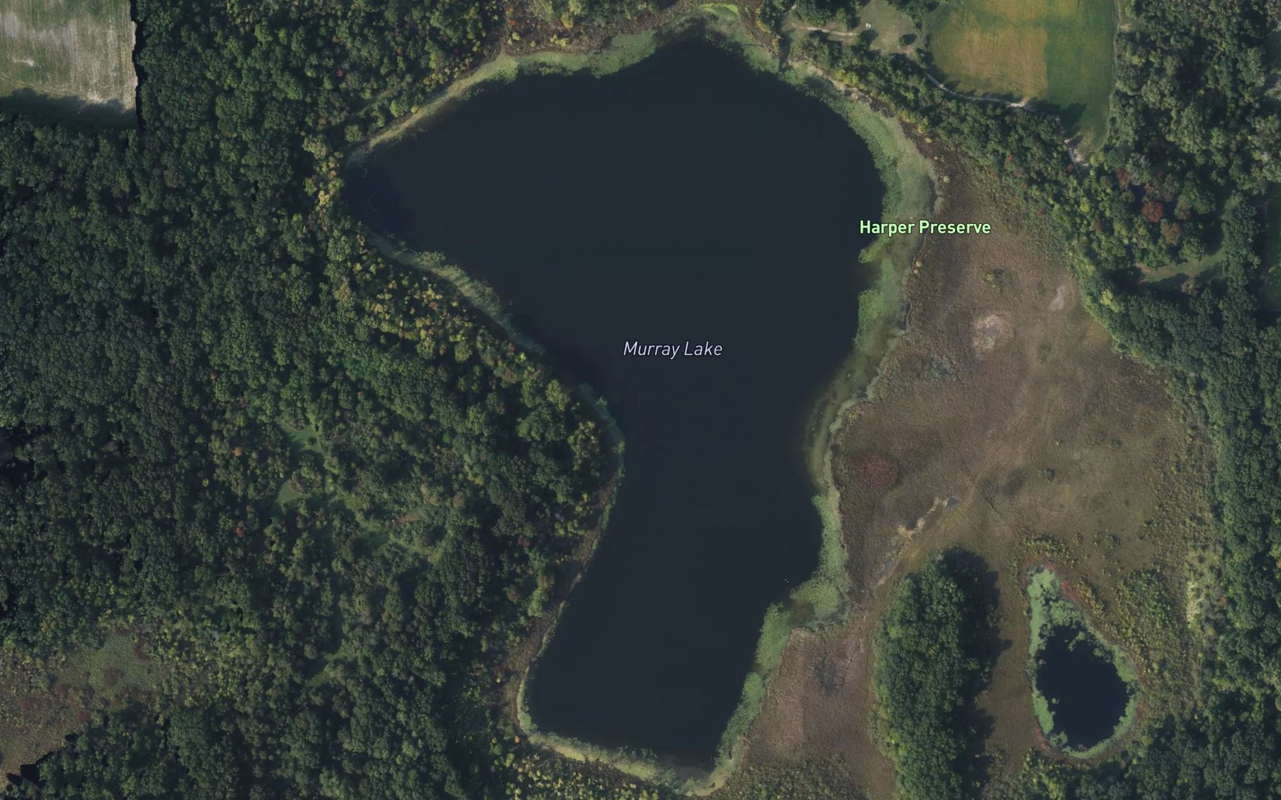 Satellite map of the Murray Lake