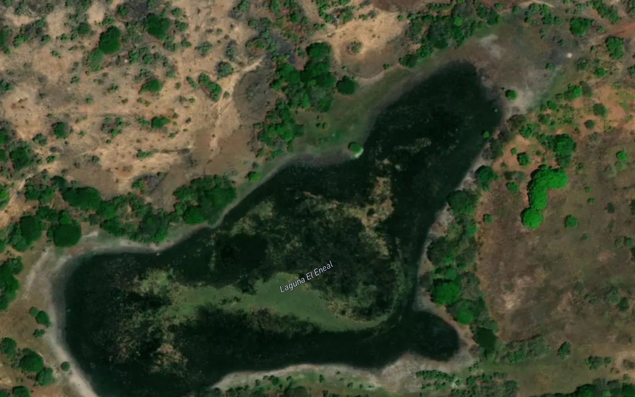 Laguna El Eneal