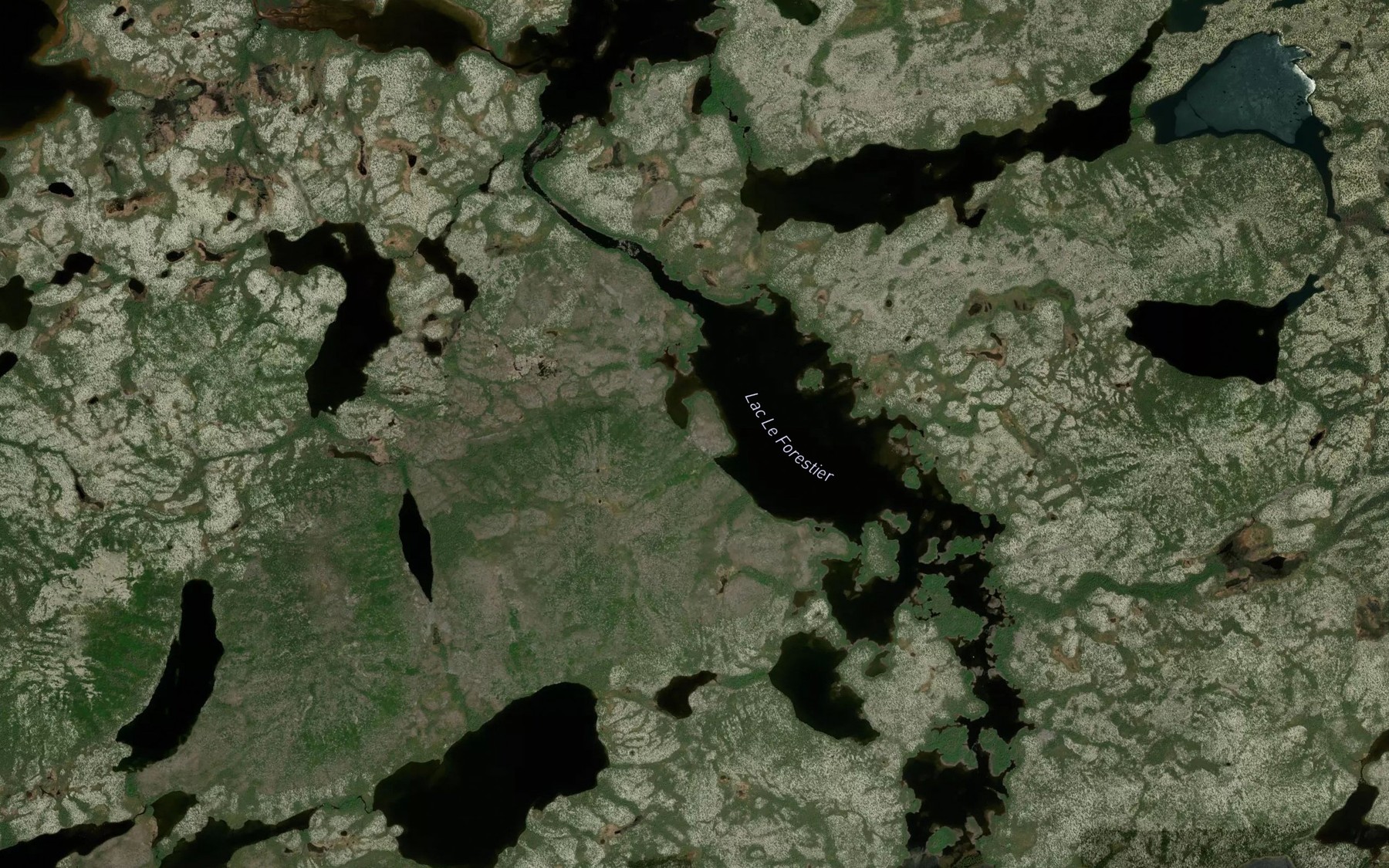 Satellite map of the Lac Le Forestier