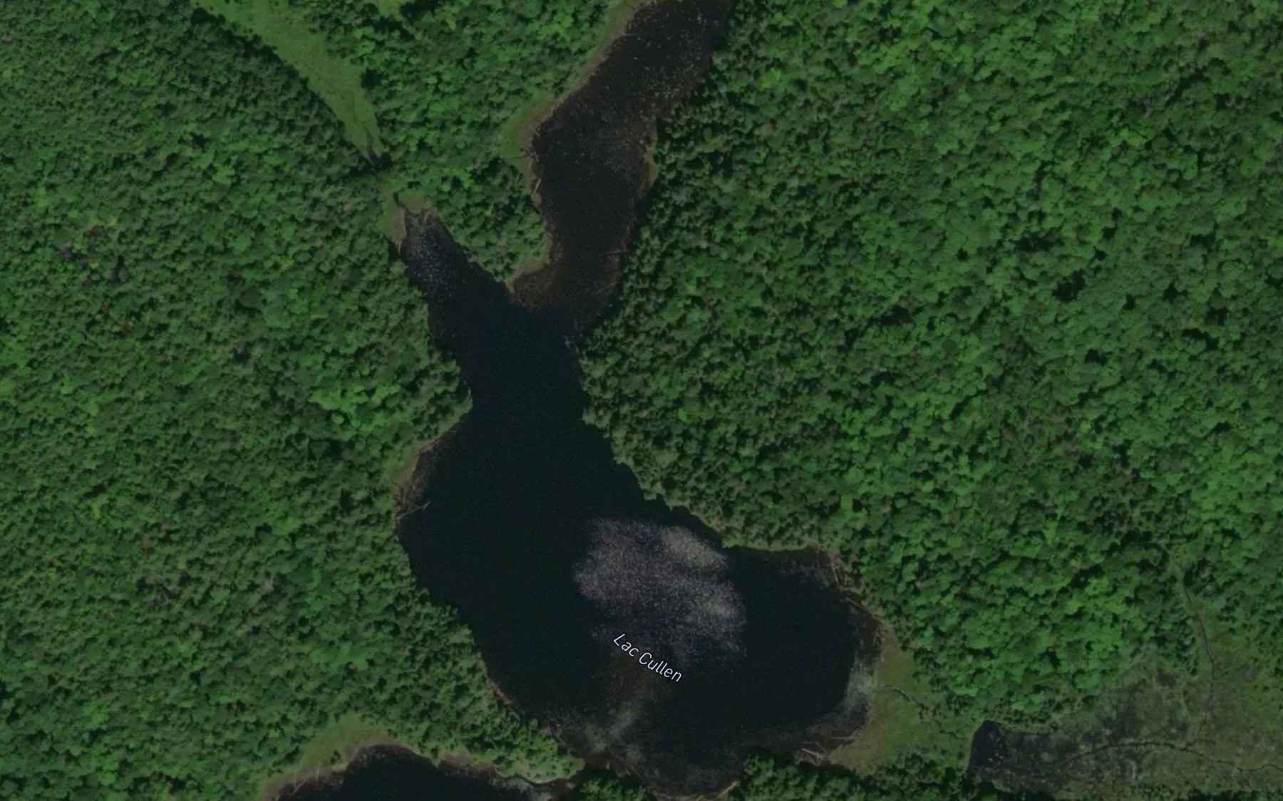 Satellite map of the Lac Cullen