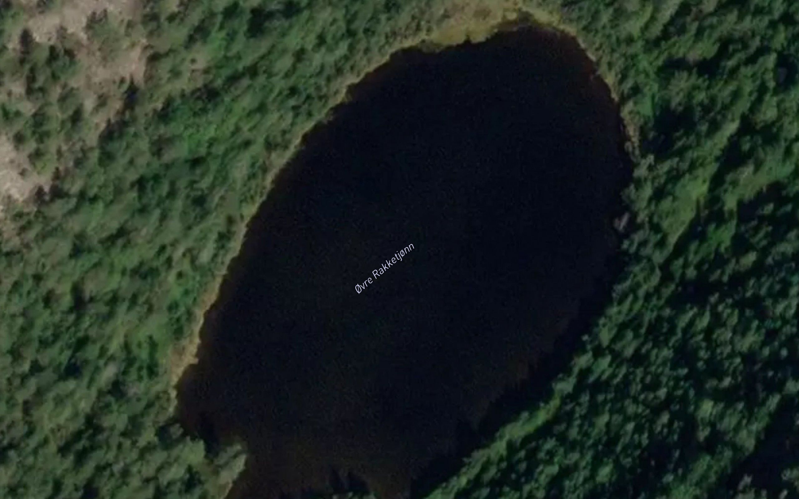 Rakktjornane