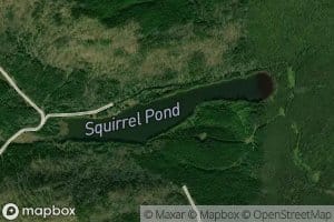 Squirrel Pond